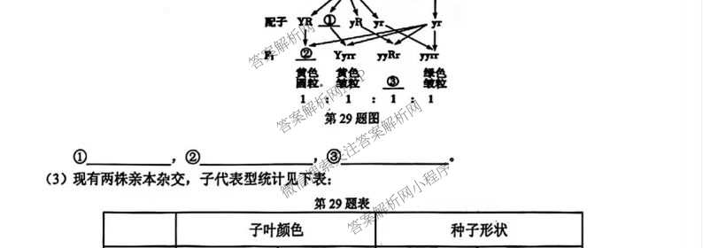 浙江省浙南名校联盟2026年高一练(3月)(ZNMX)(已更新数学、英语、地理等9份)生物试题