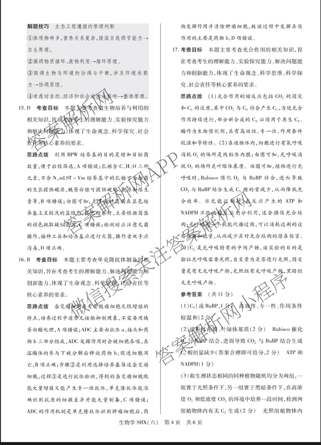 天一大联考2026届高三冲刺(六)6（含物理(SHX) 物理(ANH) 化学(ANH)等27份）生物答案