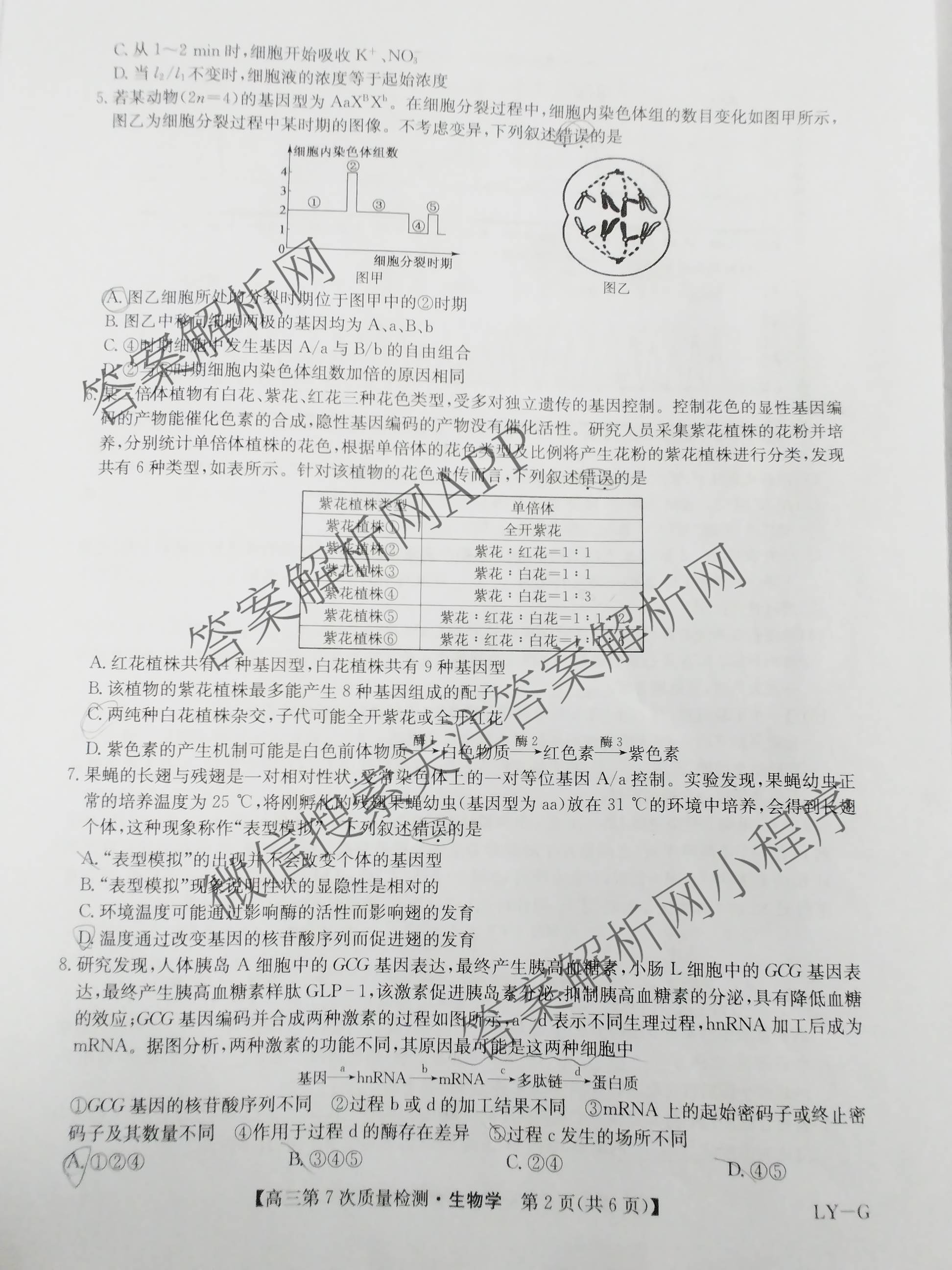 九师联盟2026届高三第7次质量检测巩固卷(G)(03.05)各科答案及试卷（含历史(X-G)、物理(H-G)、物理(L-G)等）生物试题