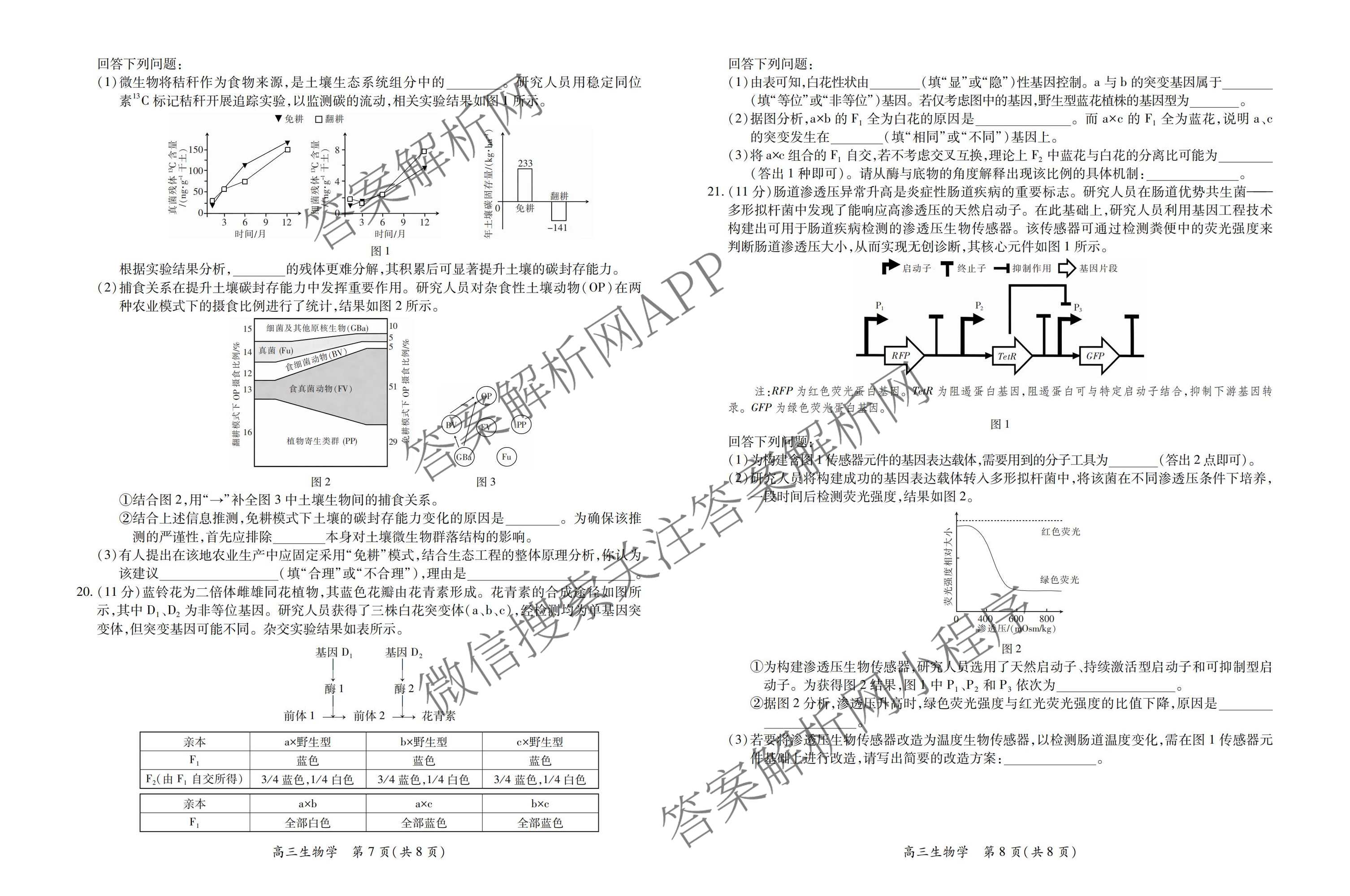 上进联考江西省2027届高三年级9月供题训练试卷及答案汇总: 含政治 数学 生物试卷解析生物试题