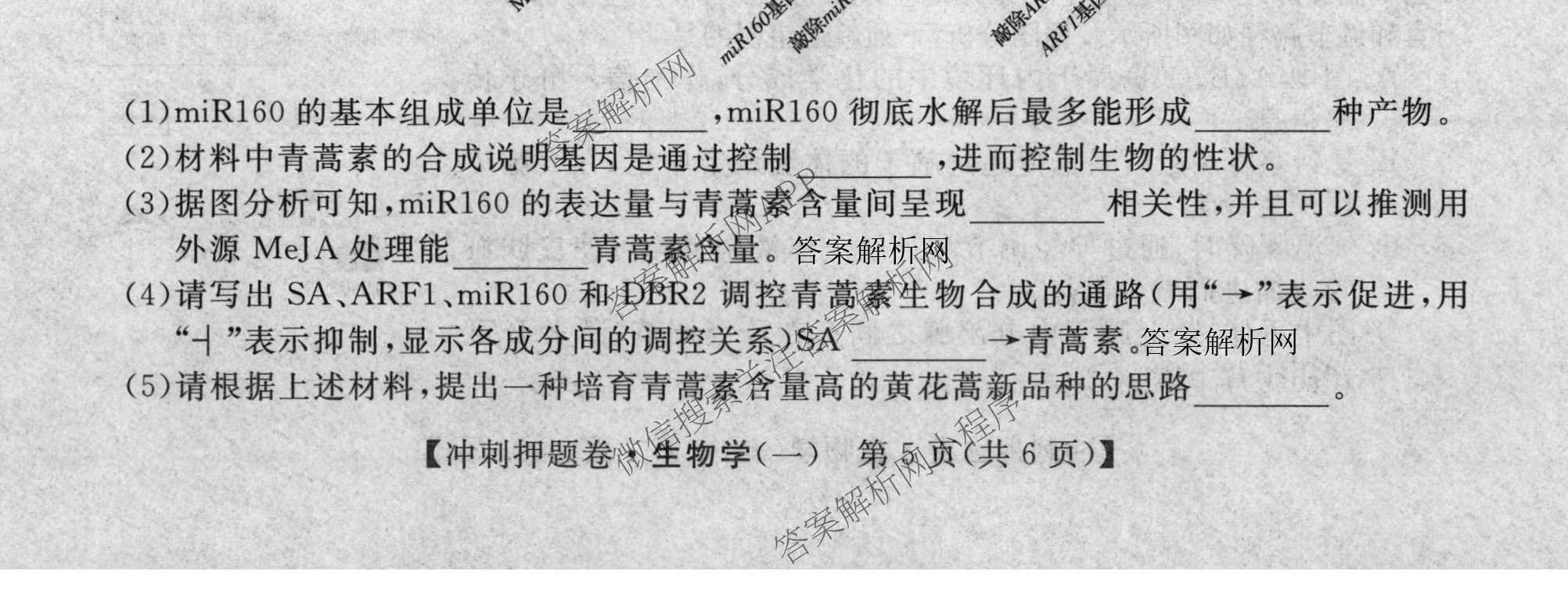 2026普通高等学校招生全国统一考试冲刺押题卷(一)1各科答案及试卷（含数学(B)、物理、英语等11份）生物试题