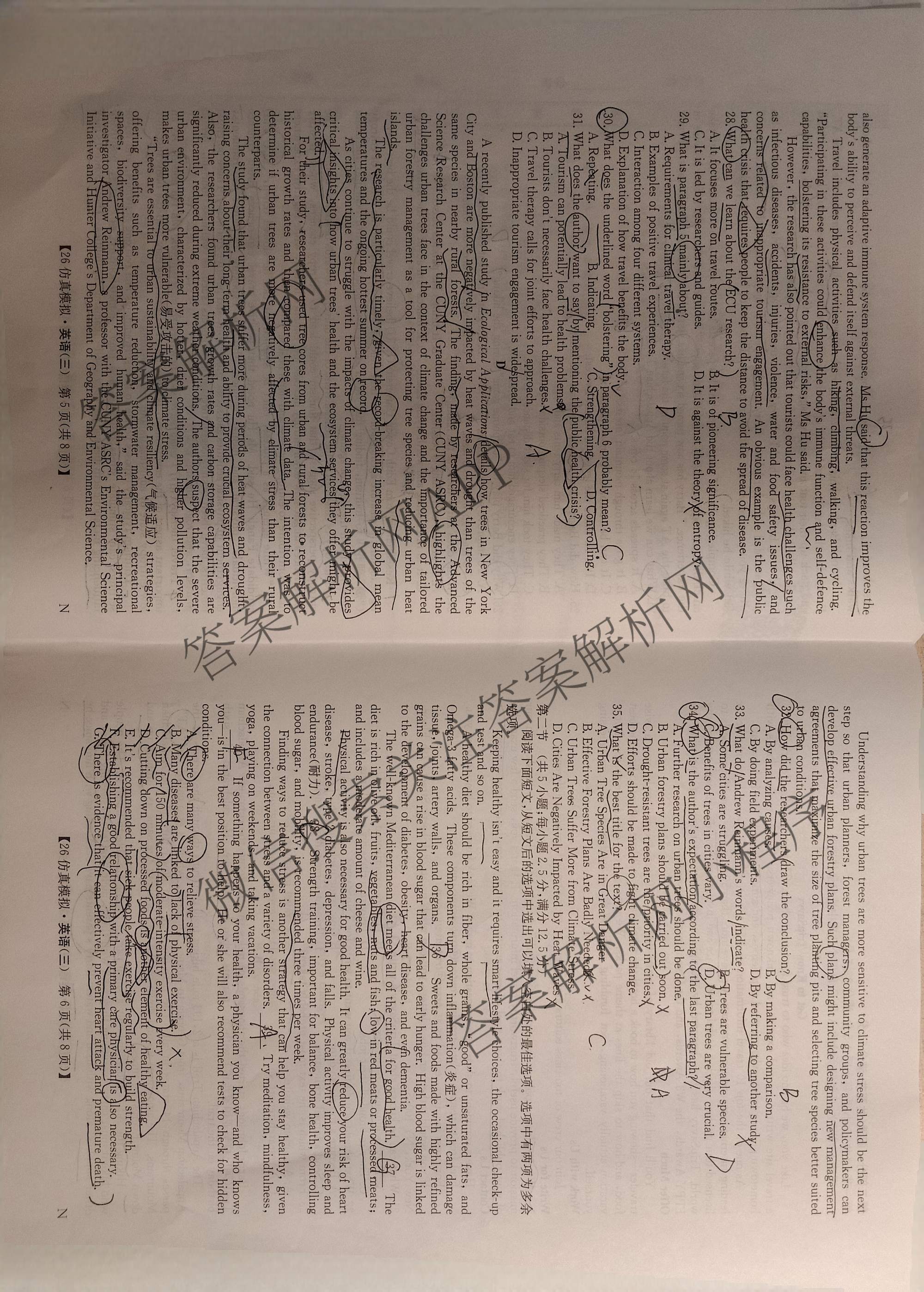 2026年全国高考仿真模拟卷(三)3试卷及答案汇总(已更新语文(N)、生物(A N)、物理(A N)等14份)英语试题