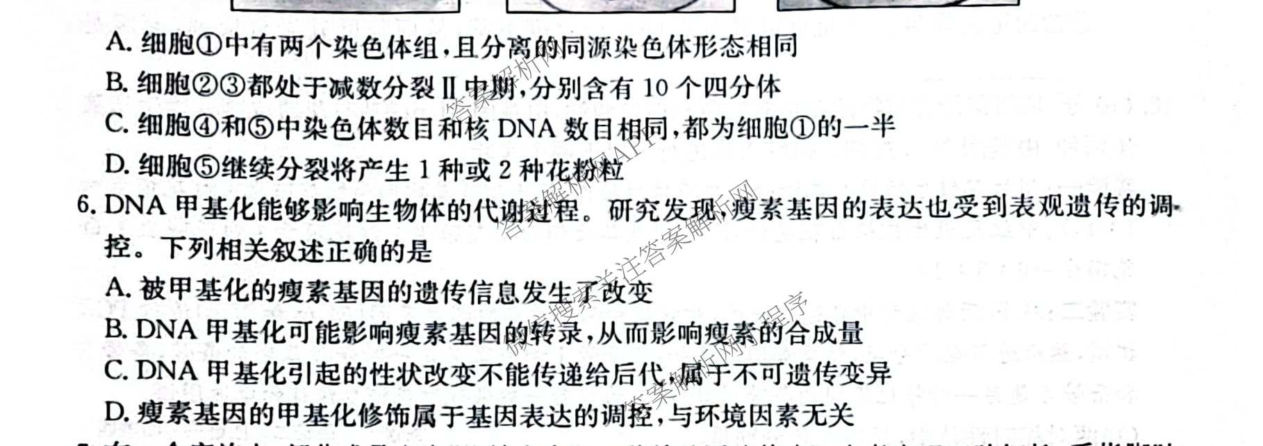 甘肃省市县重点高中教研协作联盟2026~2027学年高三起点摸底考试(27-L-015C)试卷及答案汇总（含历史、地理、政治等）生物试题