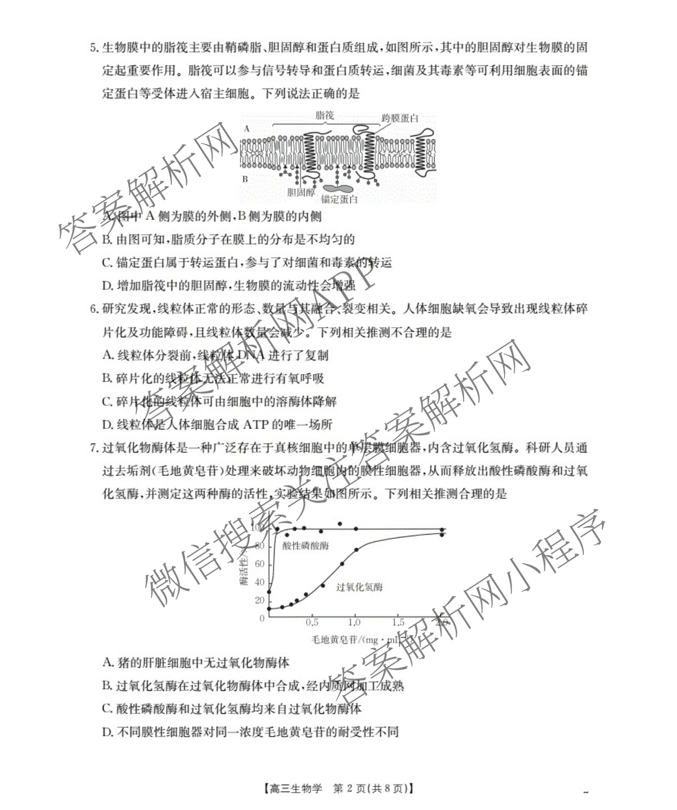 福建省2026届高三10月联考(10.27): 含政治、化学、历史试卷解析生物试题 福建省2026届高三10月联考(10.27): 含政治、化学、历史试卷解析生物试题
