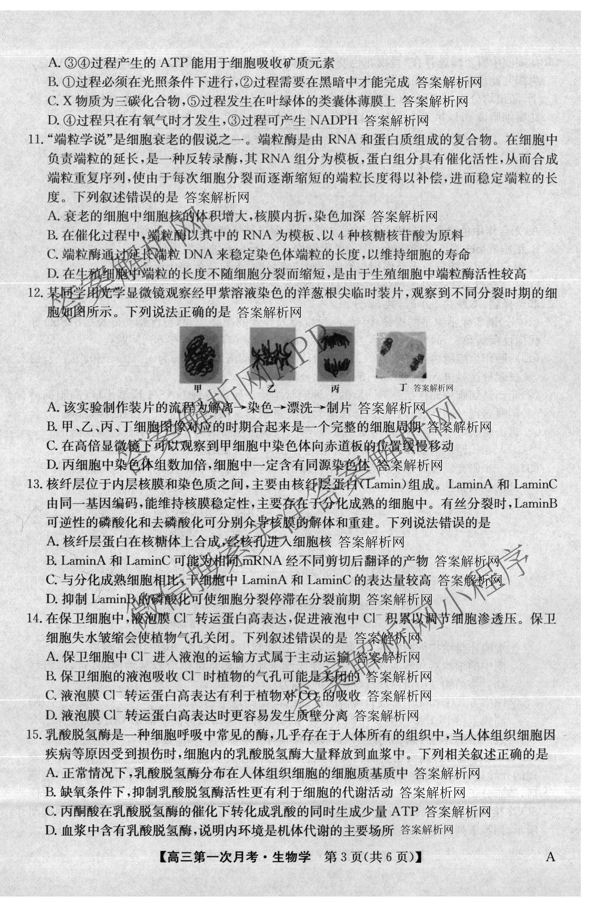全国名校2026届高三月考滚动卷(一)1试卷及答案汇总: 含语文 数学 物理(A)试卷解析生物试题