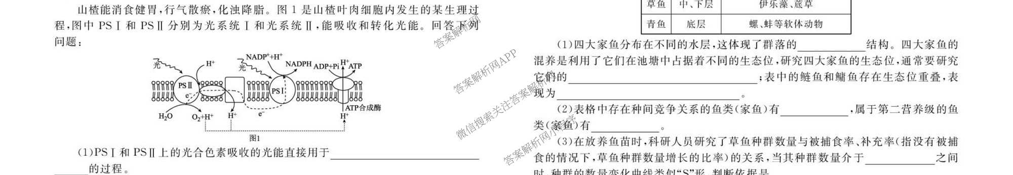 衡水金卷先享题2026年学科素养评价练(五)5(已更新地理(HJ)【河北专版】、地理(HN)【湖南专版】、生物(CY)【四川重庆专版】等90份)生物试题