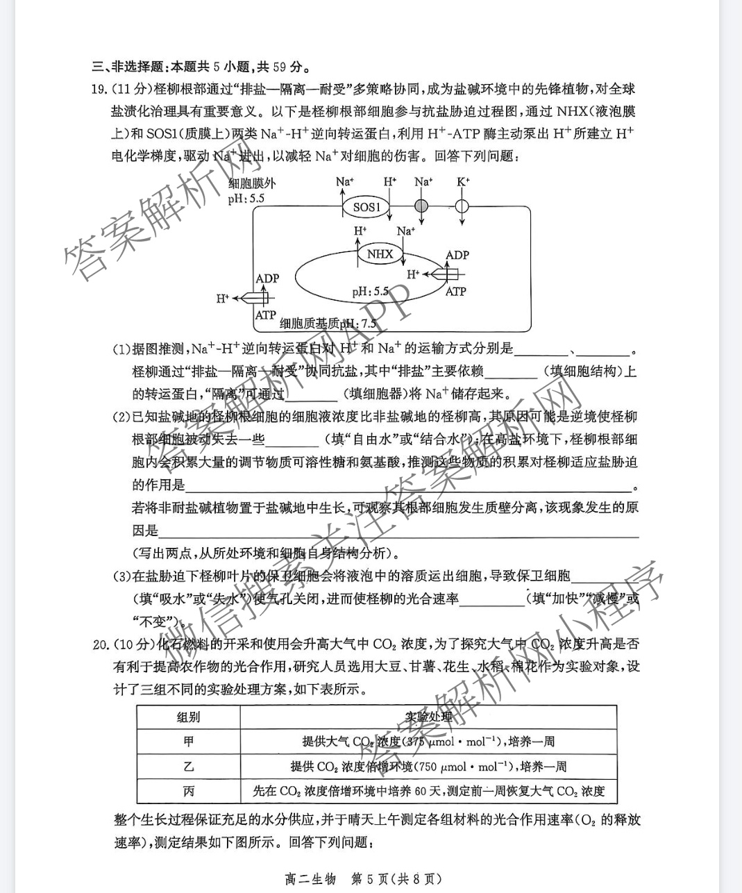 河北省2025年高二年级第二学期期末模拟检测（含数学、物理、政治等9份）生物试题