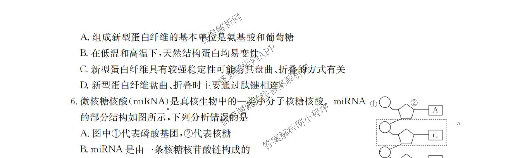 辽宁省2026届高三10月考试(10.27)(含语文、地理、生物等)生物试题 辽宁省2026届高三10月考试(10.27)(含语文、地理、生物等)生物试题