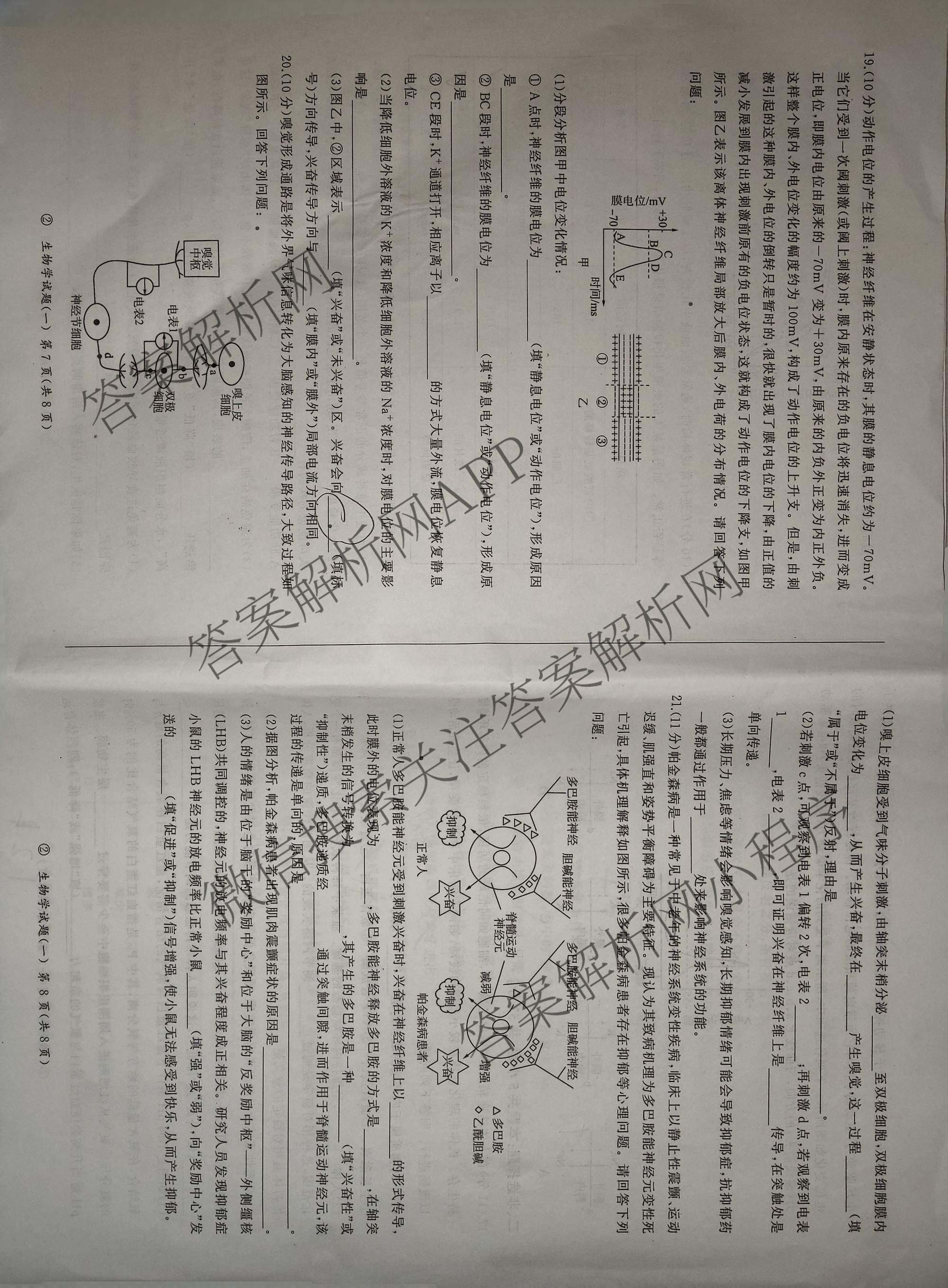 百师联盟2026-2027高二无标题考试(一)(页脚②)(已更新语文 数学 历史等9份)生物试题