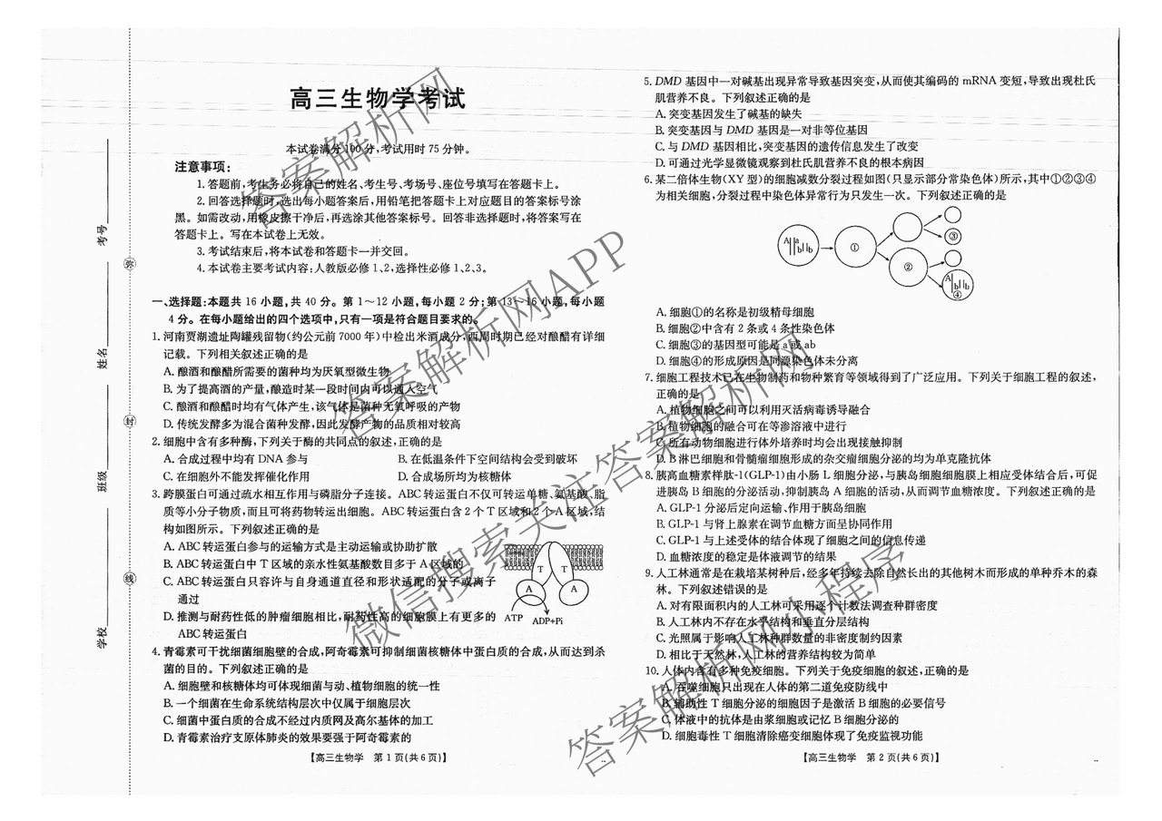广西2026届高三开学考试(8.6)各科答案及试卷（含语文 历史 数学等）生物试题