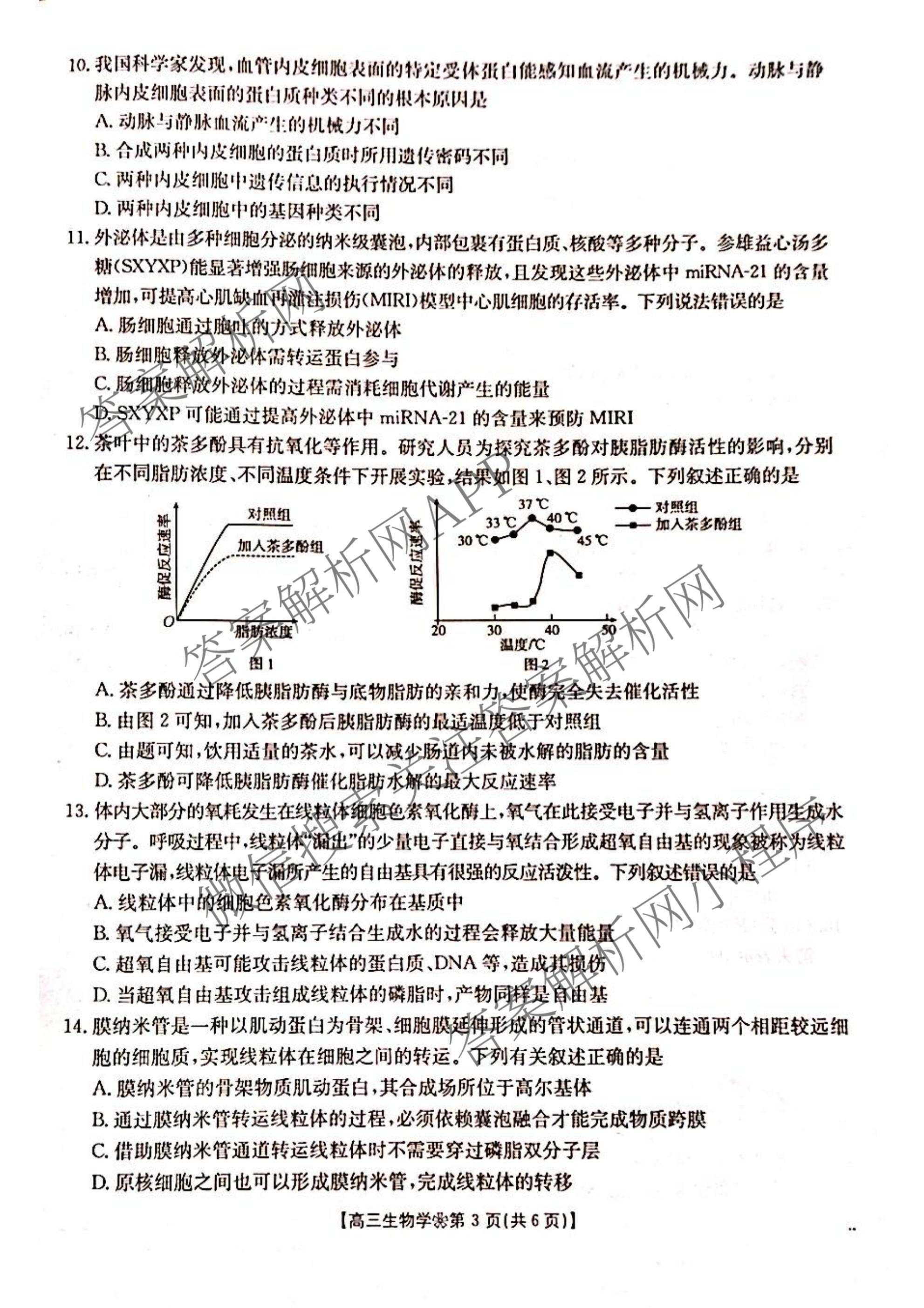 2027届高三9月联考(无标题)(页脚空心花瓣)(已更新英语 化学 数学等9份)生物试题
