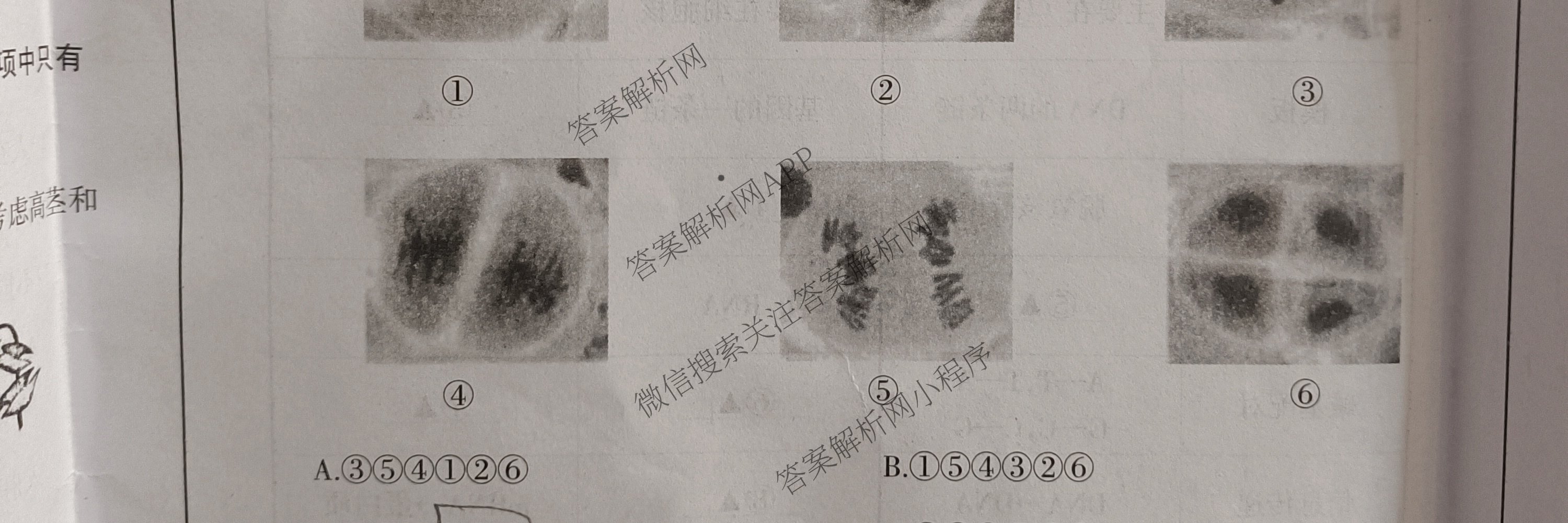 阳泉市2023-2024学年度高一年级第二学期期末教学质量监测试题各科答案及试卷（9科全）生物试题