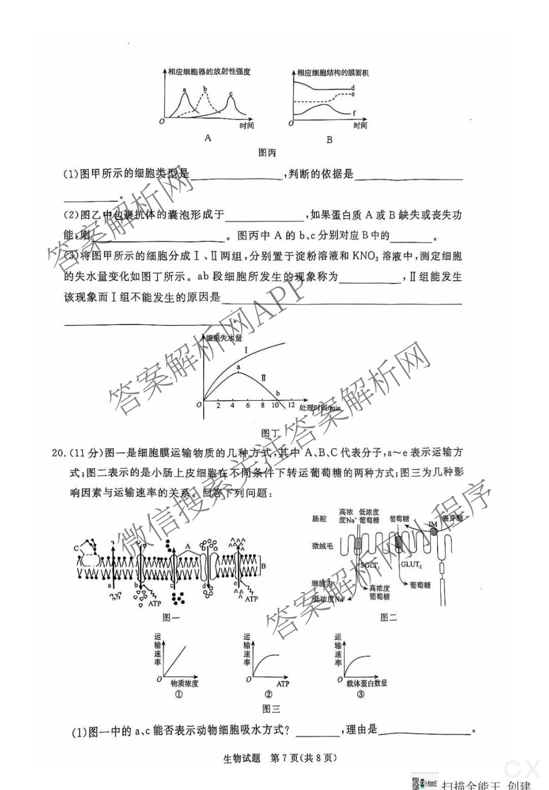 2027届普通高等学校招生全国统一考试青桐鸣大联考(高一)(12月)各科答案及试卷(已更新物理 化学(人教版) 地理(人教版)等11份)生物试题