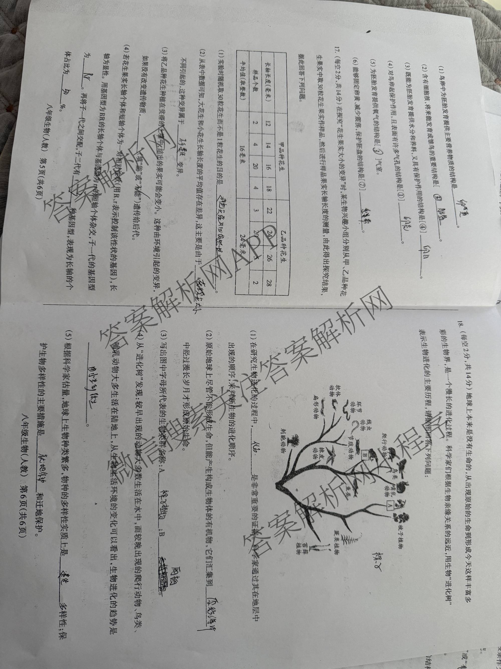山西省吕梁市2025-2026学年第二学期期中质量评估八年级各科答案及试卷(已更新地理(晋教) 数学(人教版) 语文等8份)生物试题