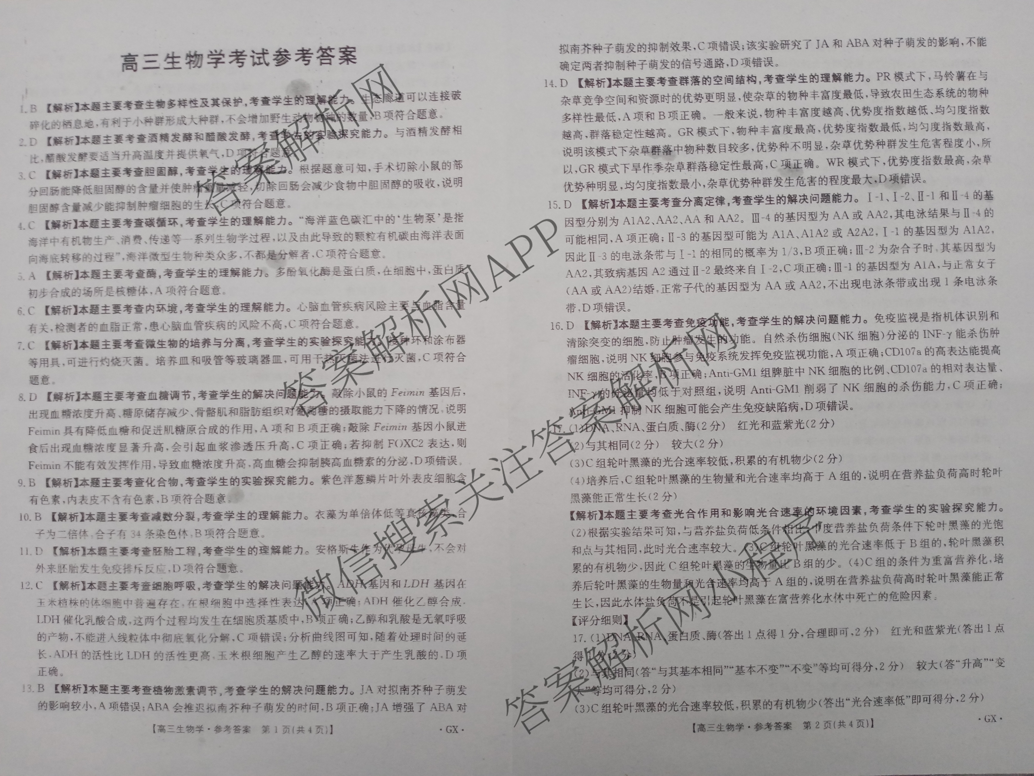 [百万联考]广西省2025届高三5月联考[GX](5.28)（含日语(25-R16)、物理、生物等）生物答案