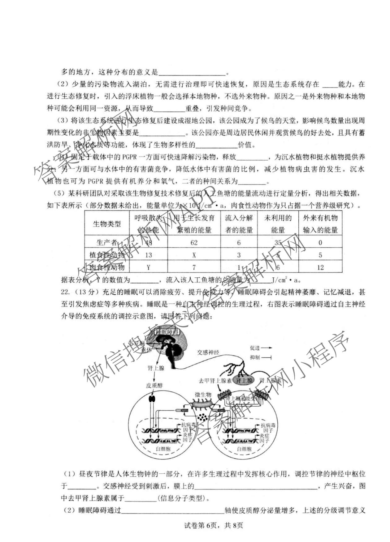 江苏省扬州市高邮市2025-2026学年度第二学期高三期初学情调研测试试卷及答案汇总: 含历史、物理、英语试卷解析生物试题