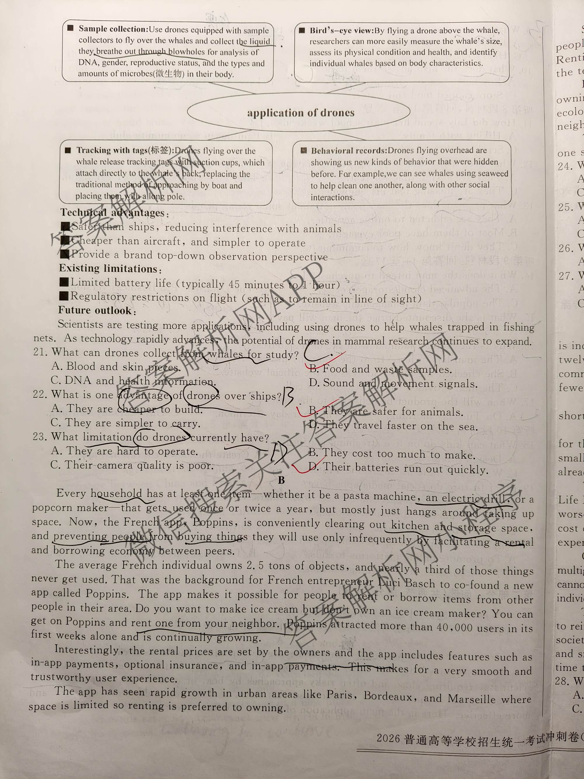 开卷文化2026普通高等学校招生统一考试冲刺卷(一)1: 含地理(D) 物理 英语试卷解析英语试题