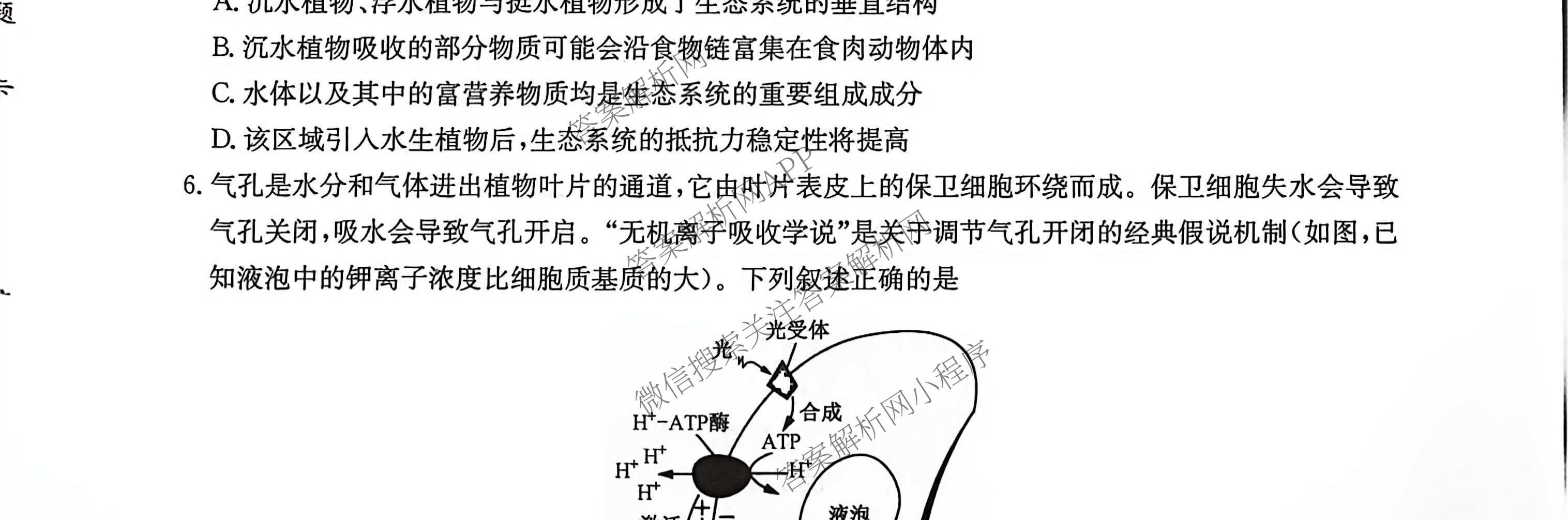 九师联盟2025~2026学年高三核心模拟卷(中)(四)试卷及答案汇总（含物理(A)、物理(HF)、生物(D1)等36份）生物试题