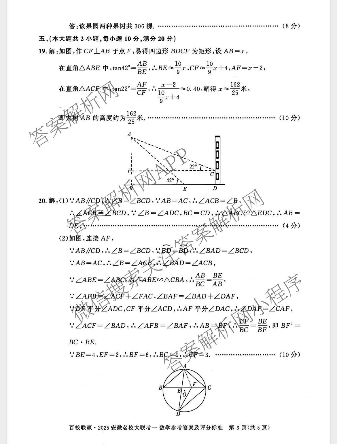 百校联赢•2025安徽名校大联考一(3.13)各科答案及试卷（7科全）数学答案