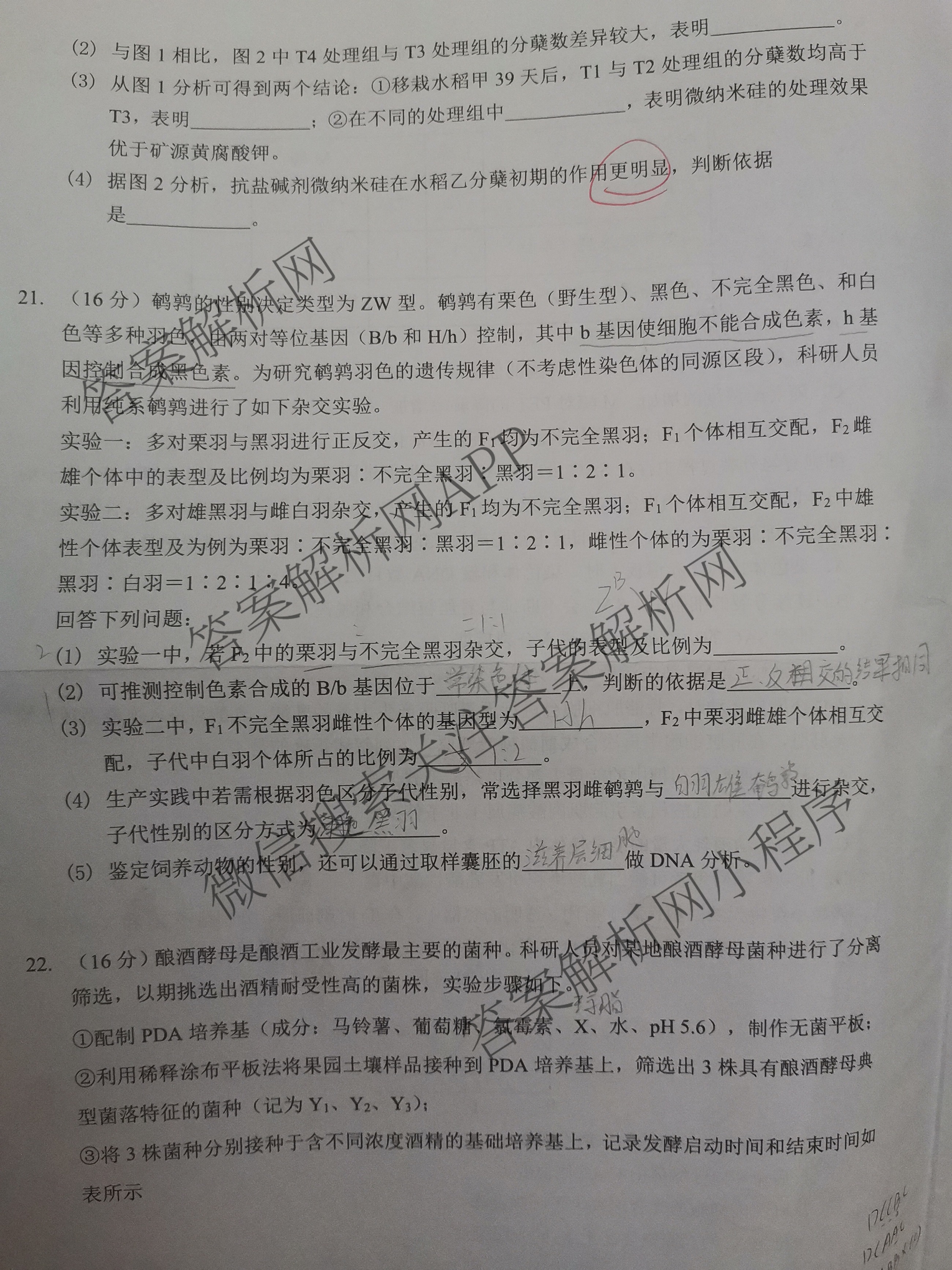 湖北新高考协作体2024年普通高等学校招生全国统一考试模拟试题(三)各科答案及试卷（含英语 政治 历史等）生物试题