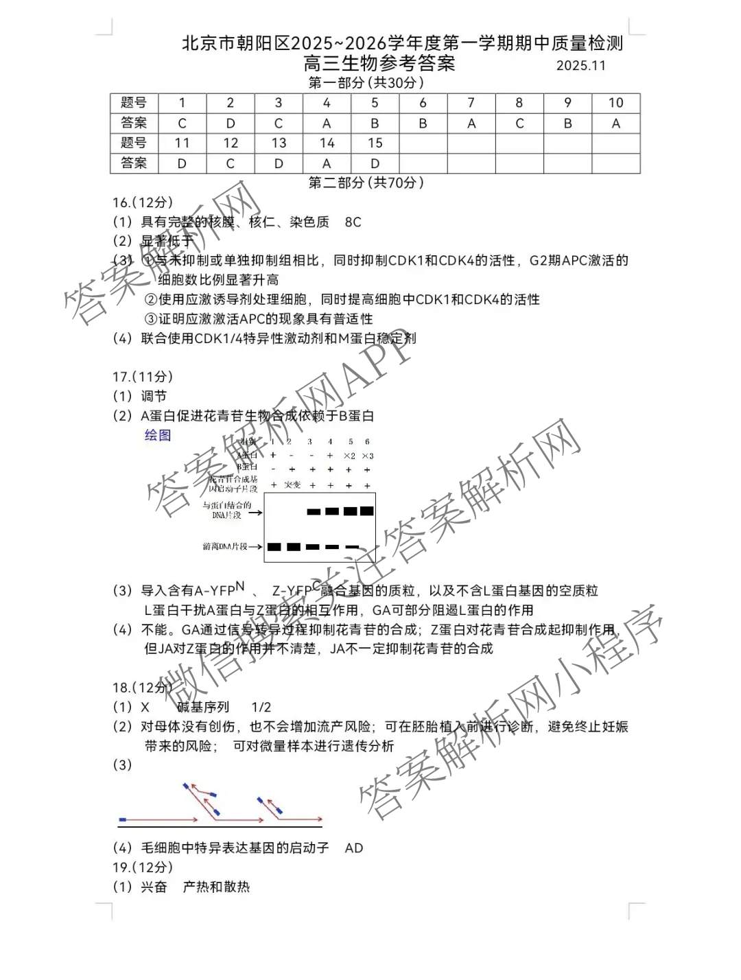 北京市朝阳区2025~2026学年度第一学期期中质量检测高三(2025.11)试卷及答案汇总: 含地理、生物、英语试卷解析生物答案
