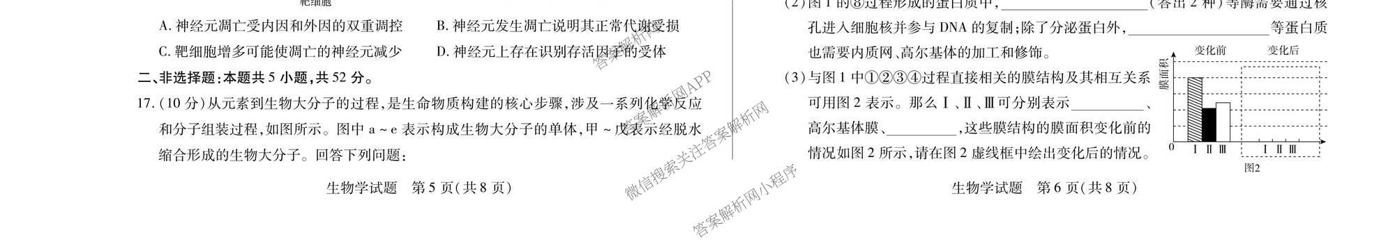  天一大联考2025-2026学年(上)高三阶段性检测试卷及答案汇总(已更新化学、化学(鲁科版)、历史等11份)生物试题