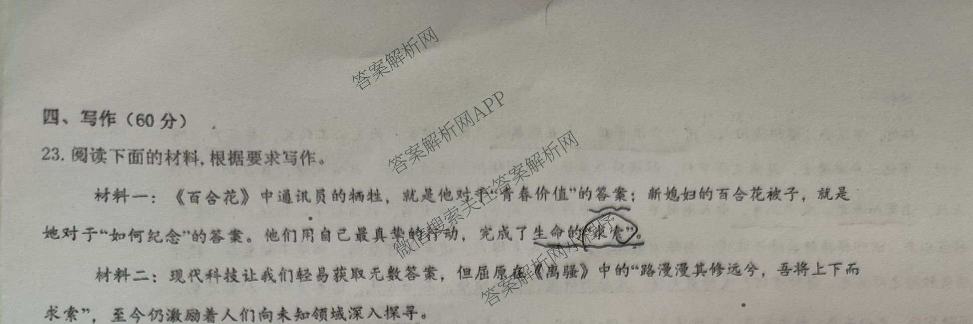 陕西省渭南市潼关中学2025-2026学年高二下学期月考(4月)（含生物 政治 数学等）语文试题