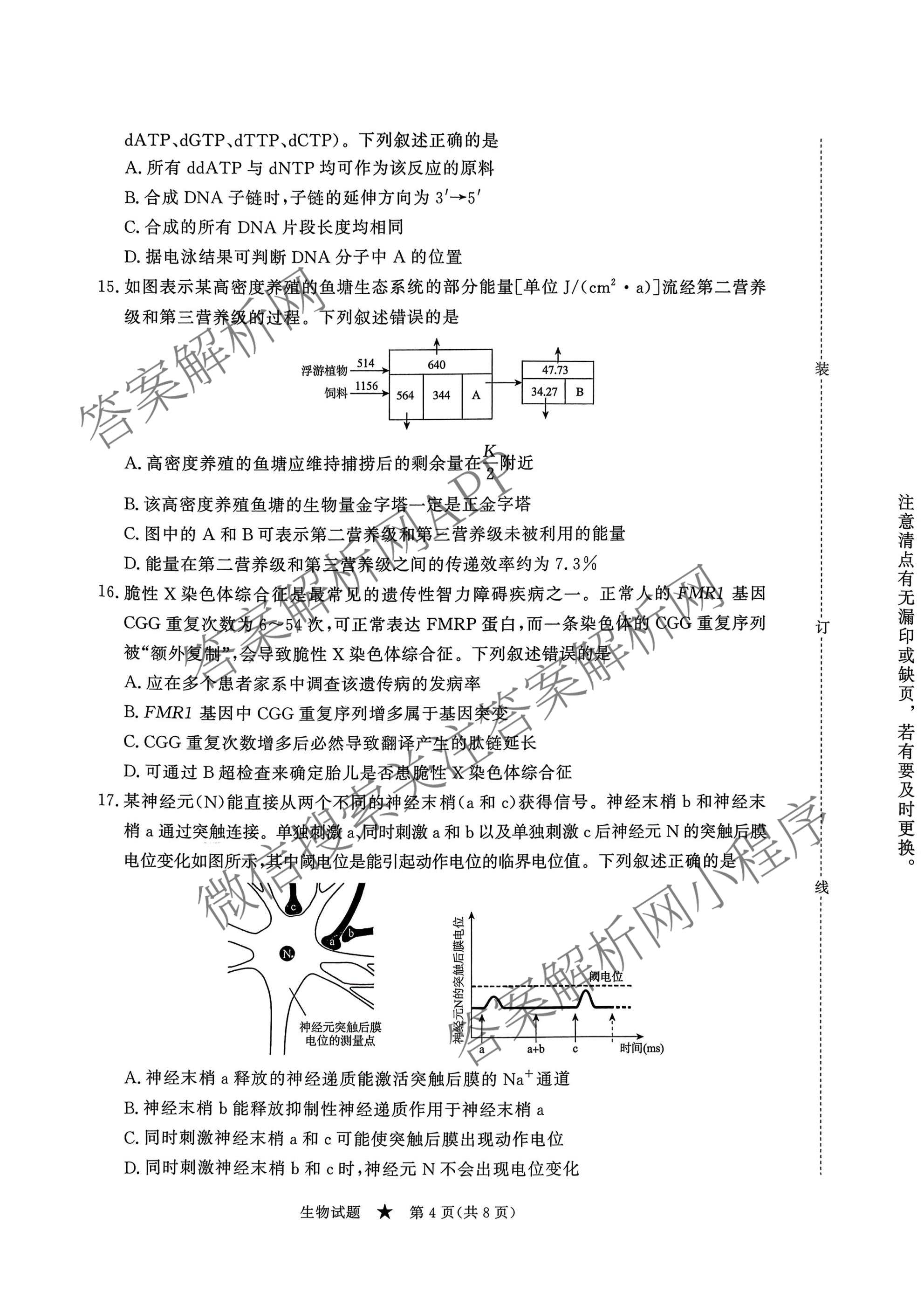 青桐鸣2026届高三内部练(3月)（含生物、政治(★)、物理等13份）生物试题