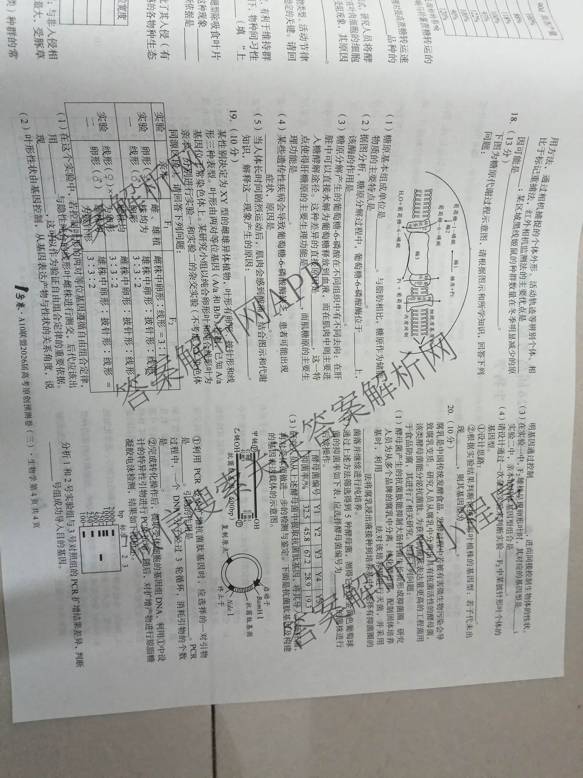 1号卷A10联盟2026届高考原创预测卷(三)3试卷及答案汇总: 含语文、物理、政治试卷解析生物试题