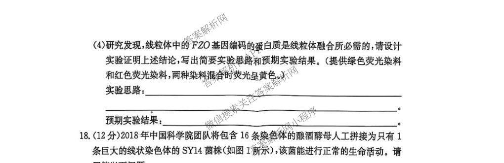 炎德英才大联考雅礼中学2026届高三月考试卷(一)1各科答案及试卷(已更新政治、历史、物理等9份)生物试题