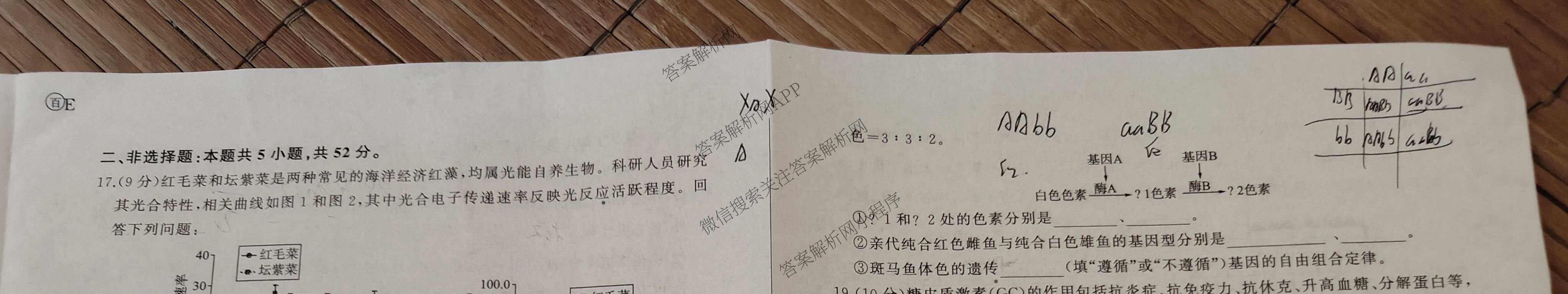 百师联盟2026届高三开学摸底联考各科答案及试卷（含化学(百G) 物理(百L) 英语(百B)等）生物试题