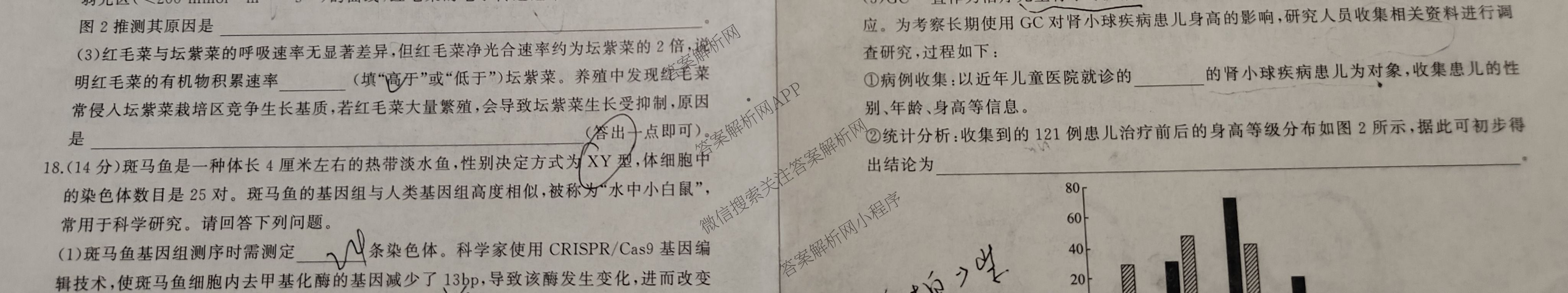 百师联盟2026届高三开学摸底联考(已更新物理(百C) 物理(百E) 地理(S)等56份)生物试题