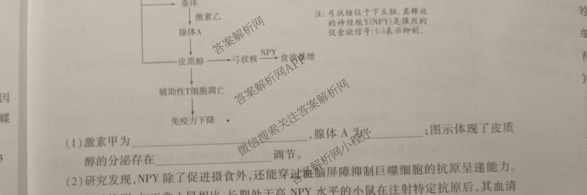 天一大联考2027届高三联考(★★★202609)(9.8)各科答案及试卷（含语文、英语、物理等）生物试题