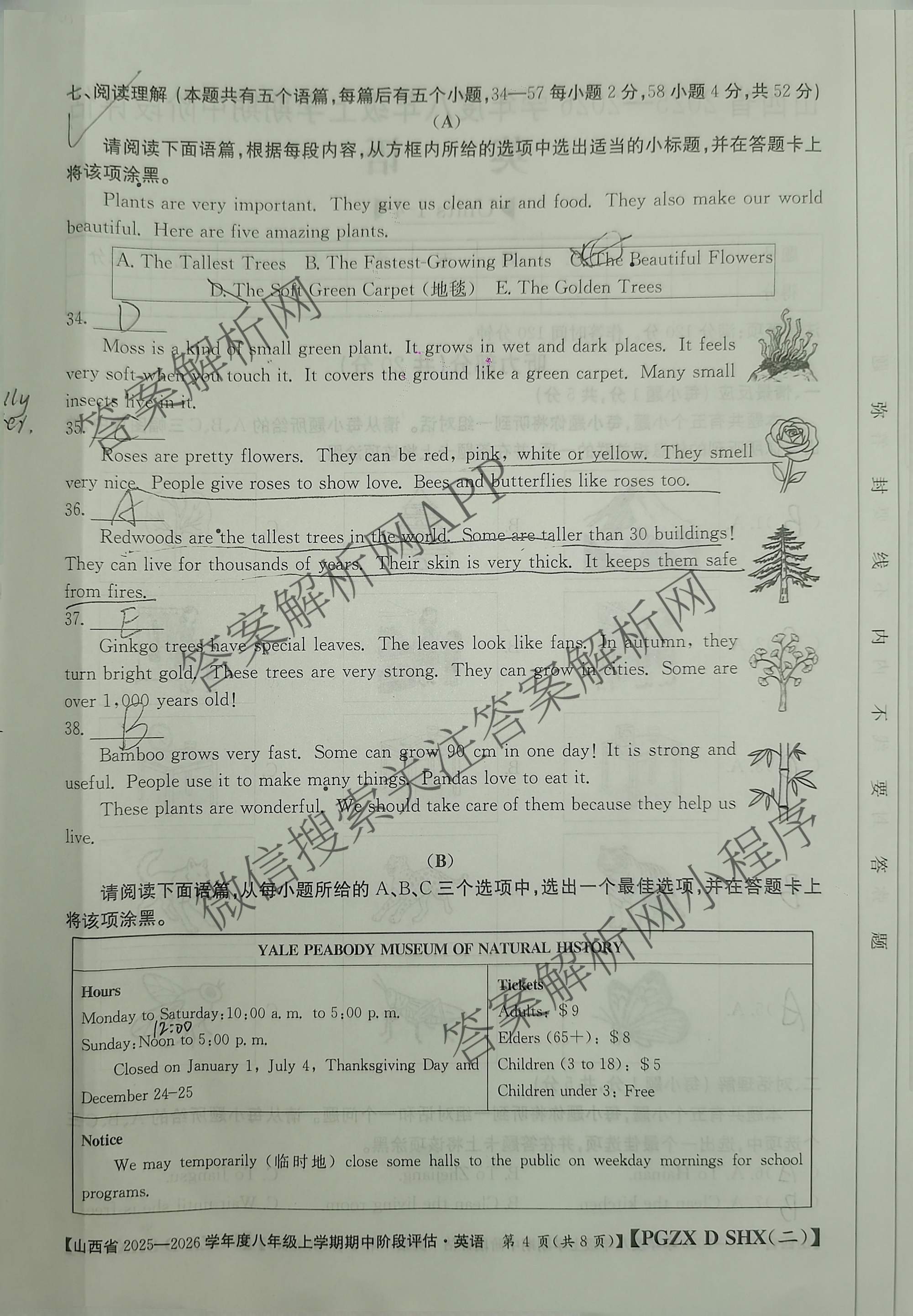 大同市八年级上学期长标期中: 含地理(R) 历史(R) 道德与法治(R)试卷解析英语试题