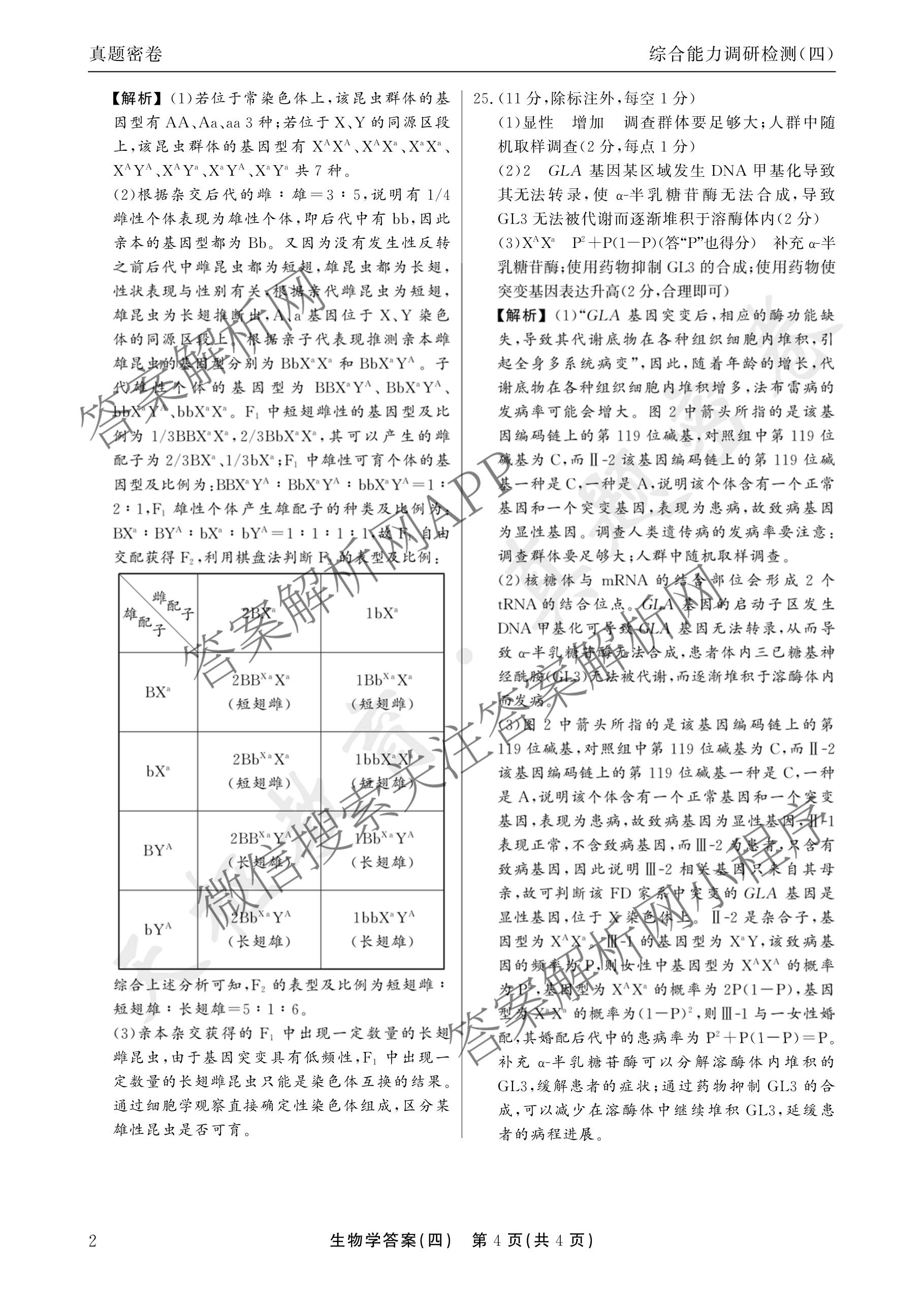 衡水真题密卷2025-2026学年度综合能力调研检测(四)4各科答案及试卷（含物理(1) 生物 生物(1)等）生物试题