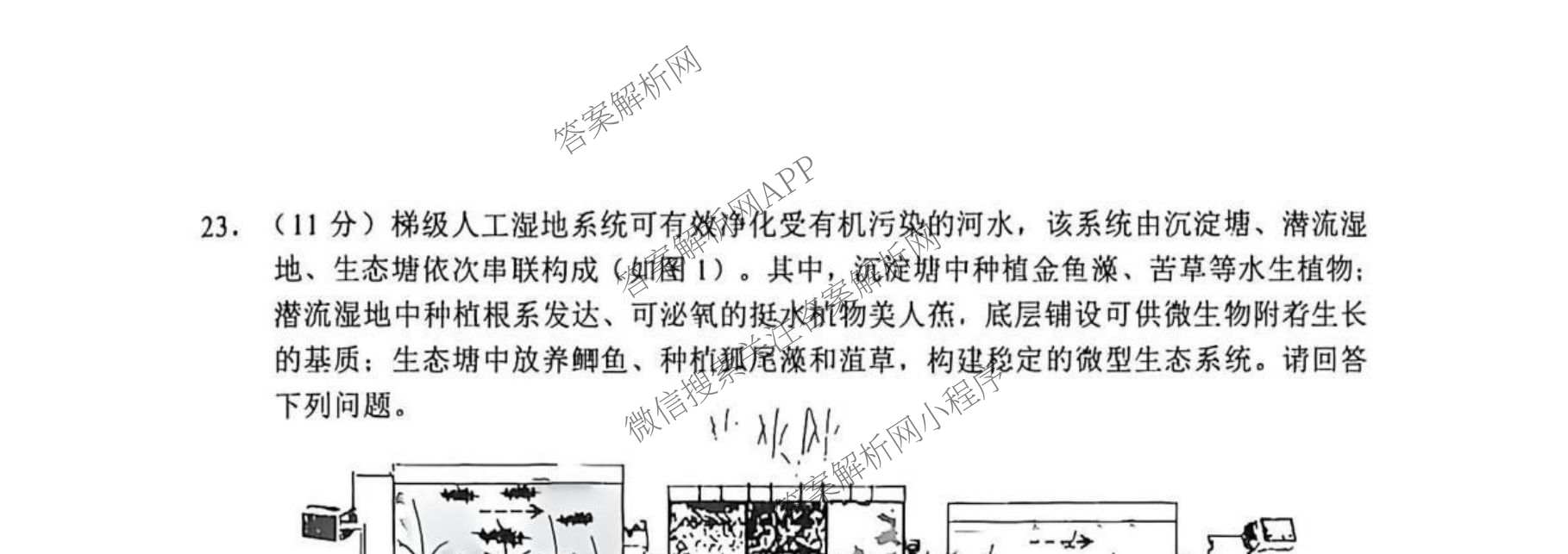 江苏南通2027届高三第一次质量监测试卷及答案汇总（含政治、物理、生物等9份）生物试题