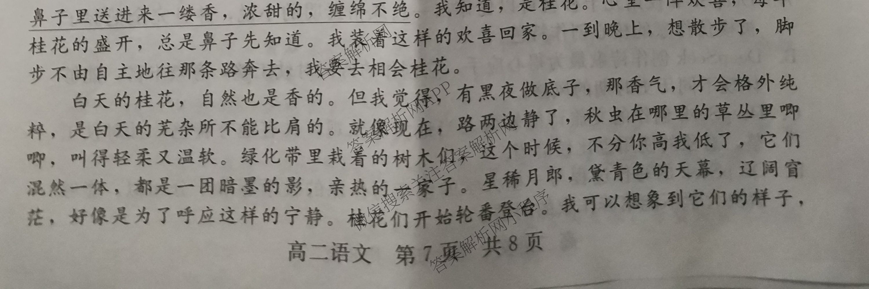 NT2024-2025学年第二学期高二6月阶段测试卷试卷及答案汇总（含地理 政治 生物等）语文试题