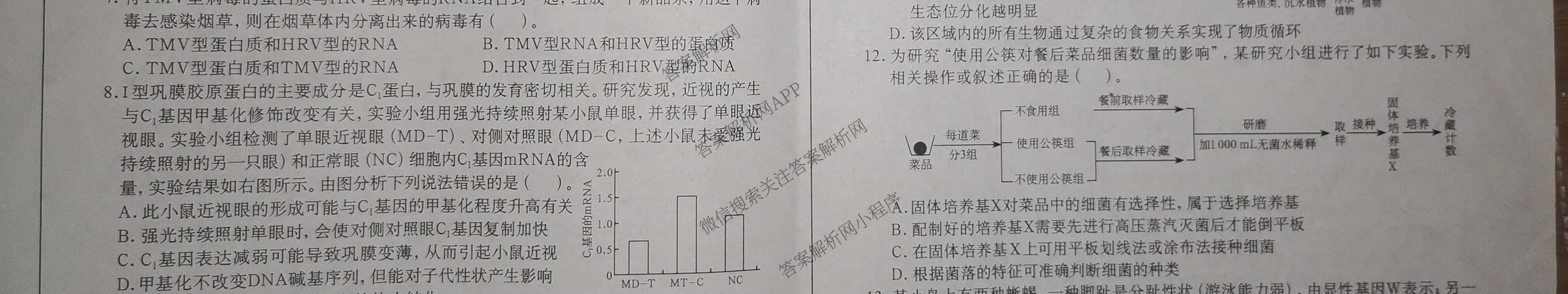 2025年广西名校高考模拟试卷押题卷[2025广西名校卷-9]（含日语 数学 物理等）生物试题