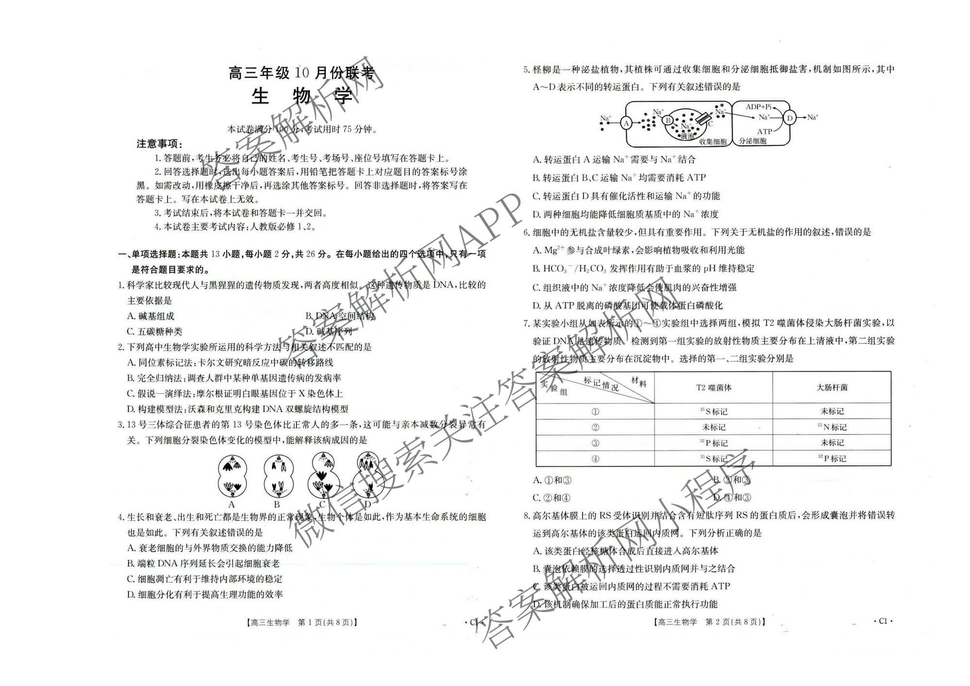 河北省2026届高三年级上学期10月联考(10.27)试卷及答案汇总(含语文、政治(C2)、数学等9份)生物试题 河北省2026届高三年级上学期10月联考(10.27)试卷及答案汇总(含语文、政治(C2)、数学等9份)生物试题