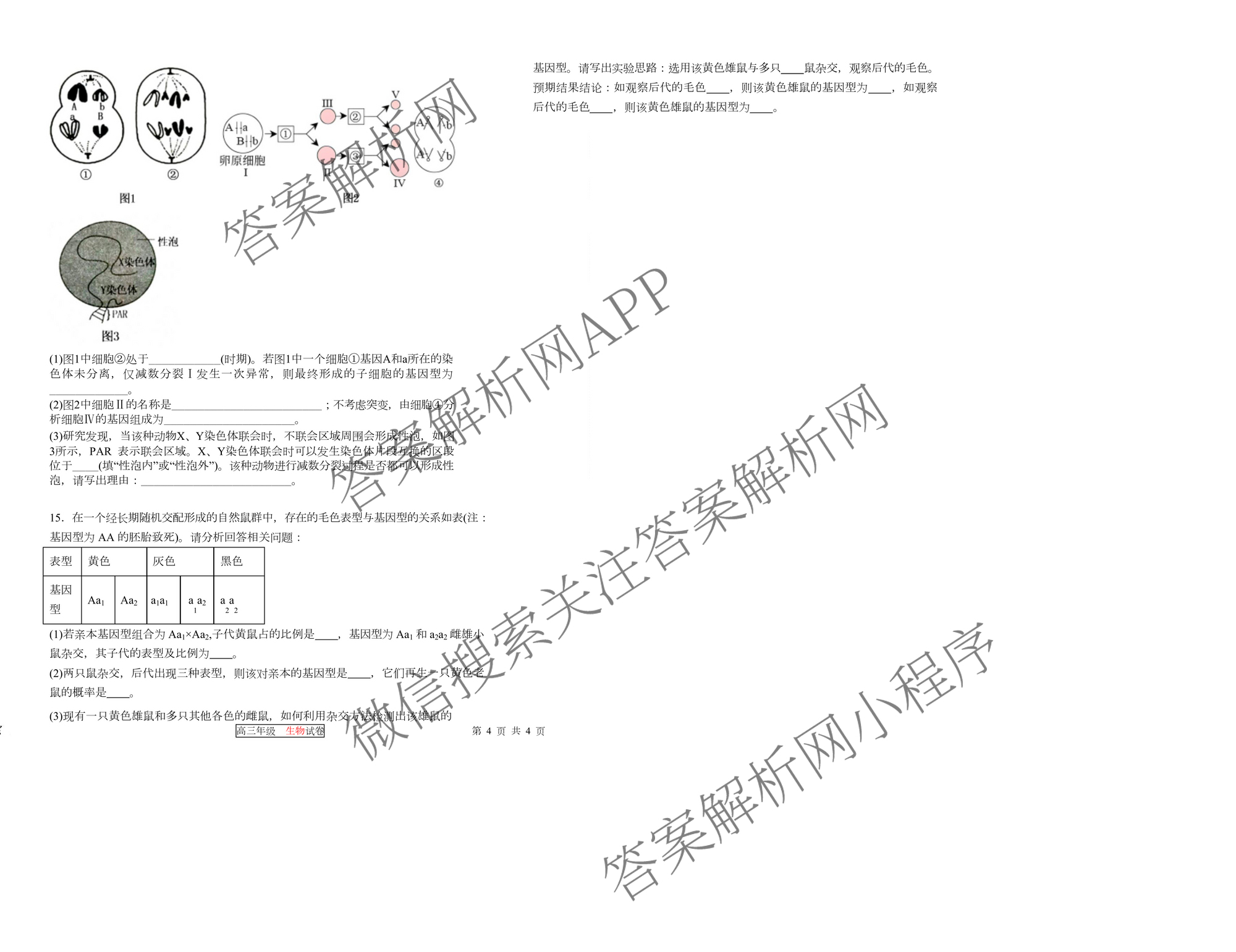 天津市第三中学2025~2026学年度第一学期高三年级阶段性检测试卷(2025.10)（9科全）生物试题