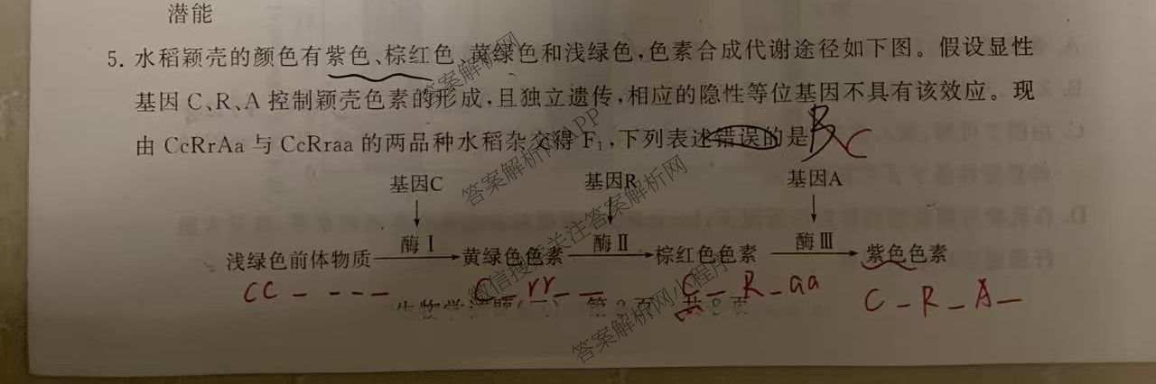 冲刺新高考2026届高考仿真模拟卷(T8)(三)3试卷及答案汇总: 含历史(HBZB) 物理(HBZB) 化学(湖南专版)试卷解析生物试题