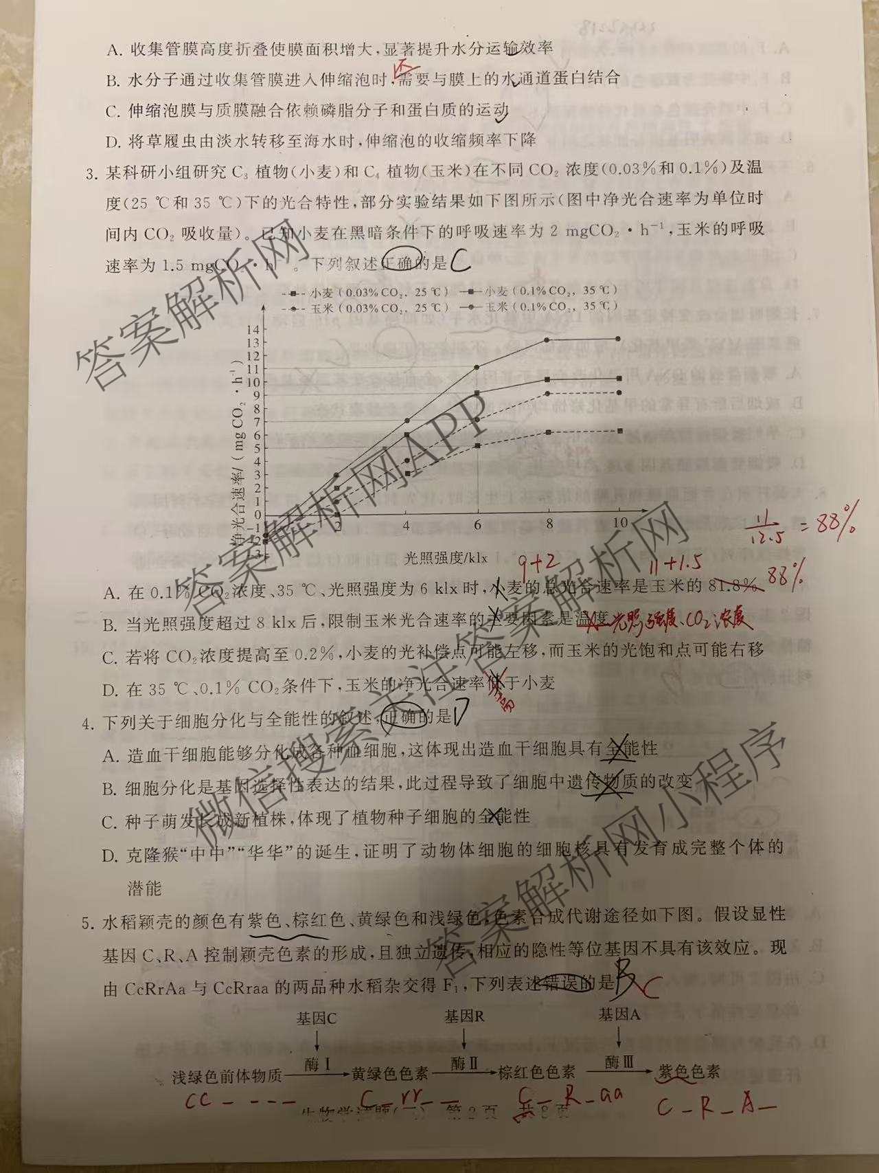 冲刺新高考2026届高考仿真模拟卷(T8)(三)3（20科全）生物试题