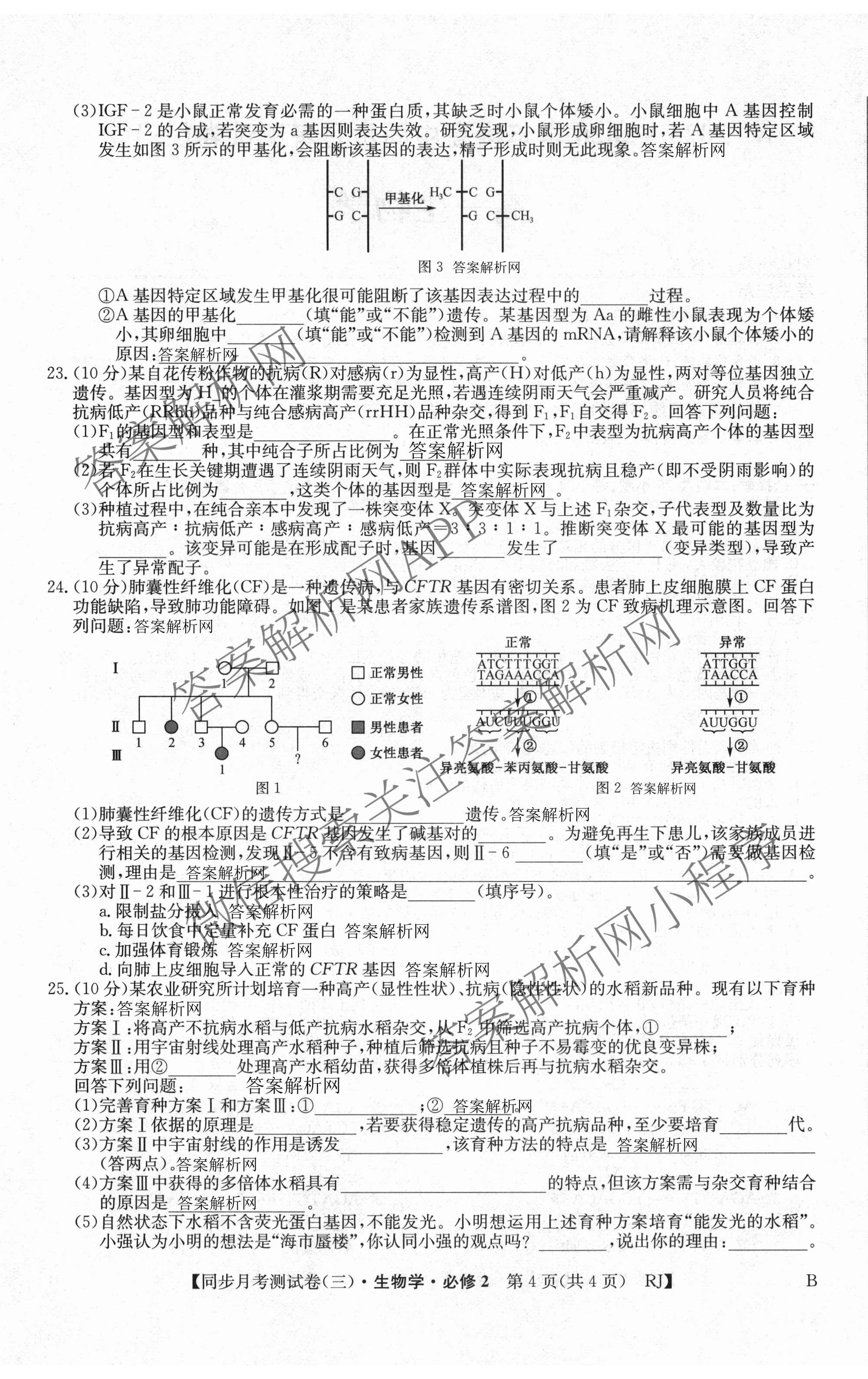 2025-2026学年度高一高中同步月考测试卷(下学期)(三)（含生物(必修2 RJ B) 数学(必修第二册 RJ) 化学(必修第二册 RJ)等）生物试题