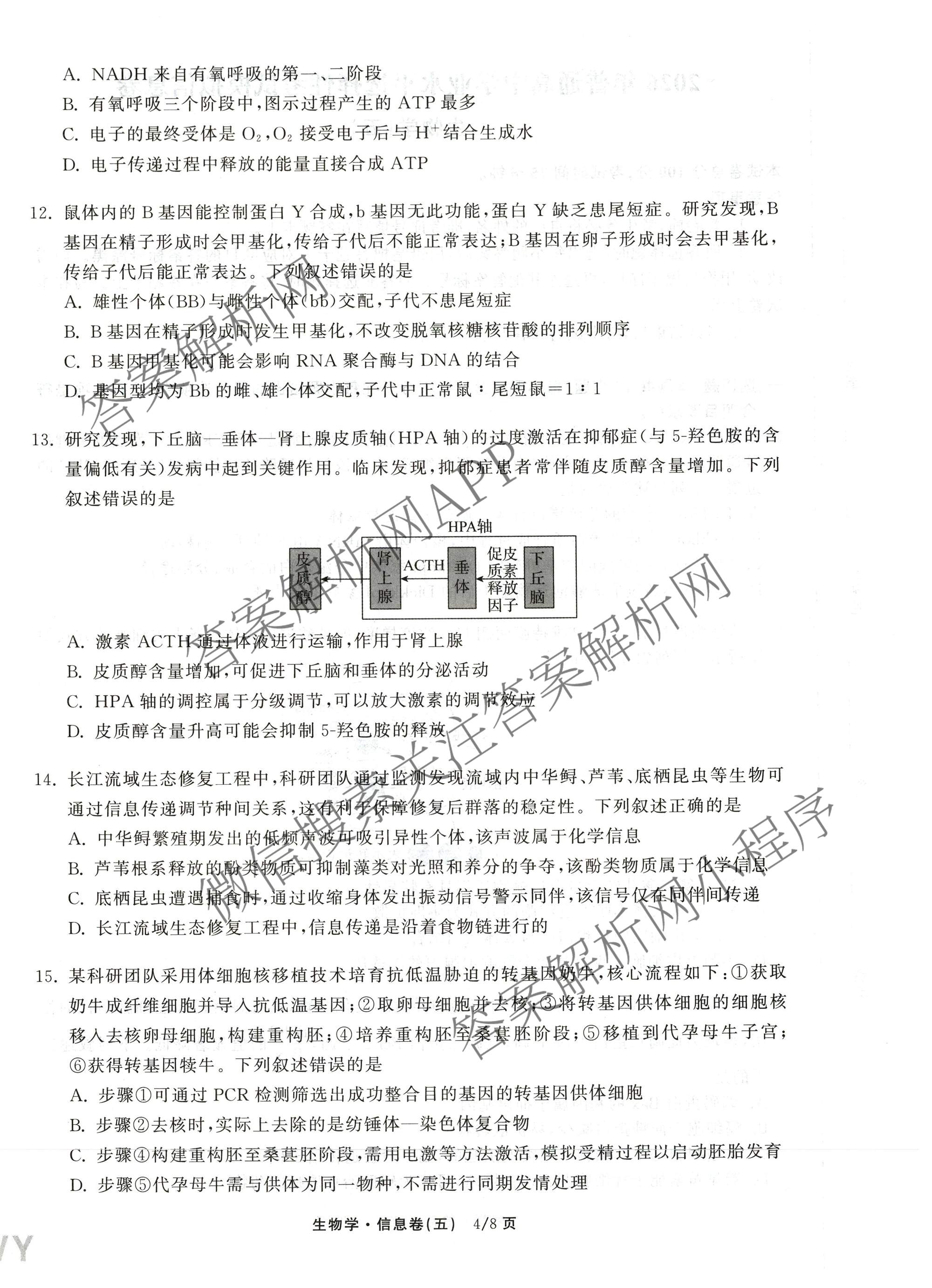 天舟高考衡中同卷2026年普通高等学校招生全国统一考试模拟信息卷(五)5各科答案及试卷（含化学(LE)、地理(WY)、语文(B)等）生物试题