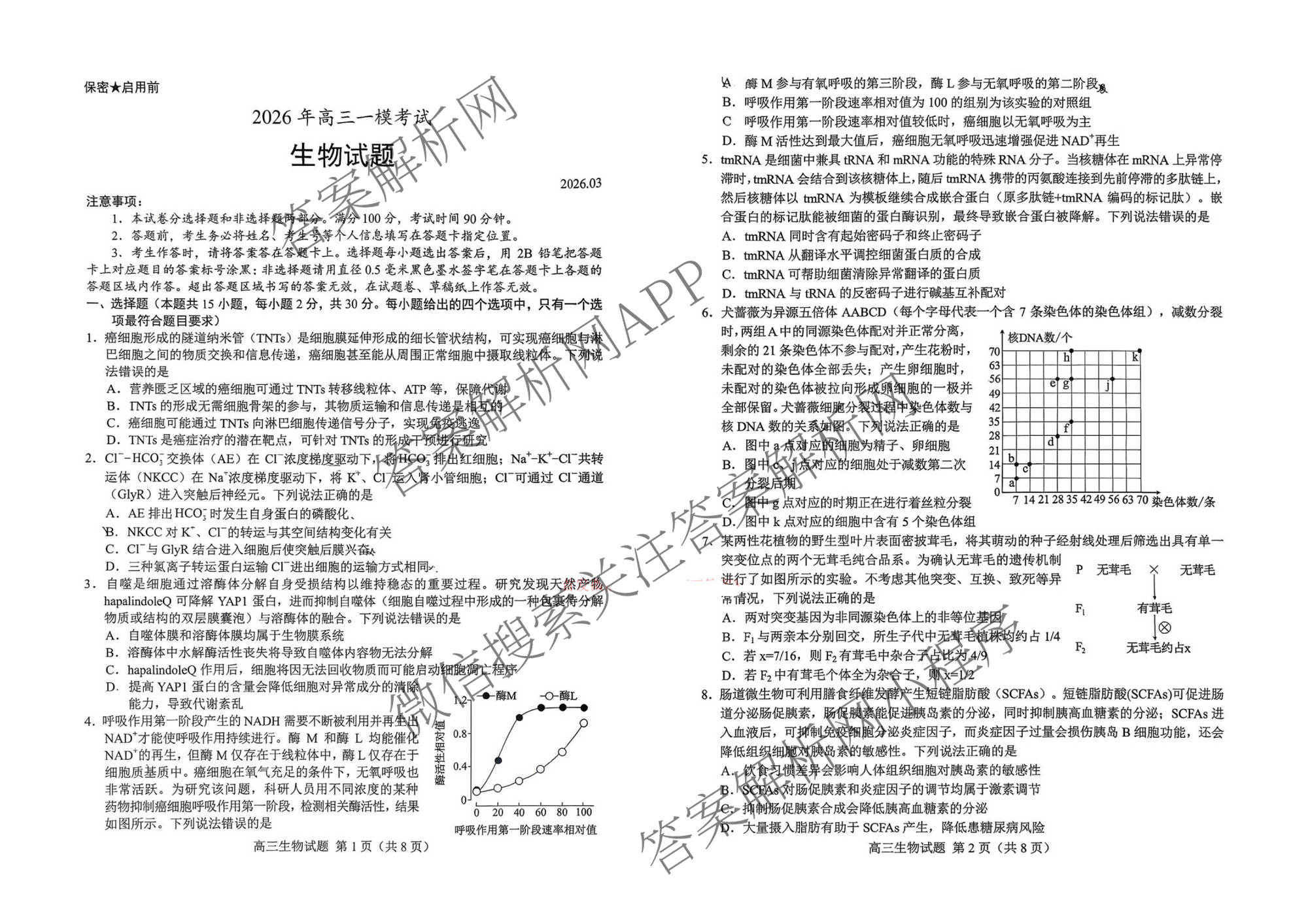 山东省菏泽市2026年高三一模考试模拟考试(2026.03)试卷及答案汇总: 含历史、化学、语文试卷解析生物试题