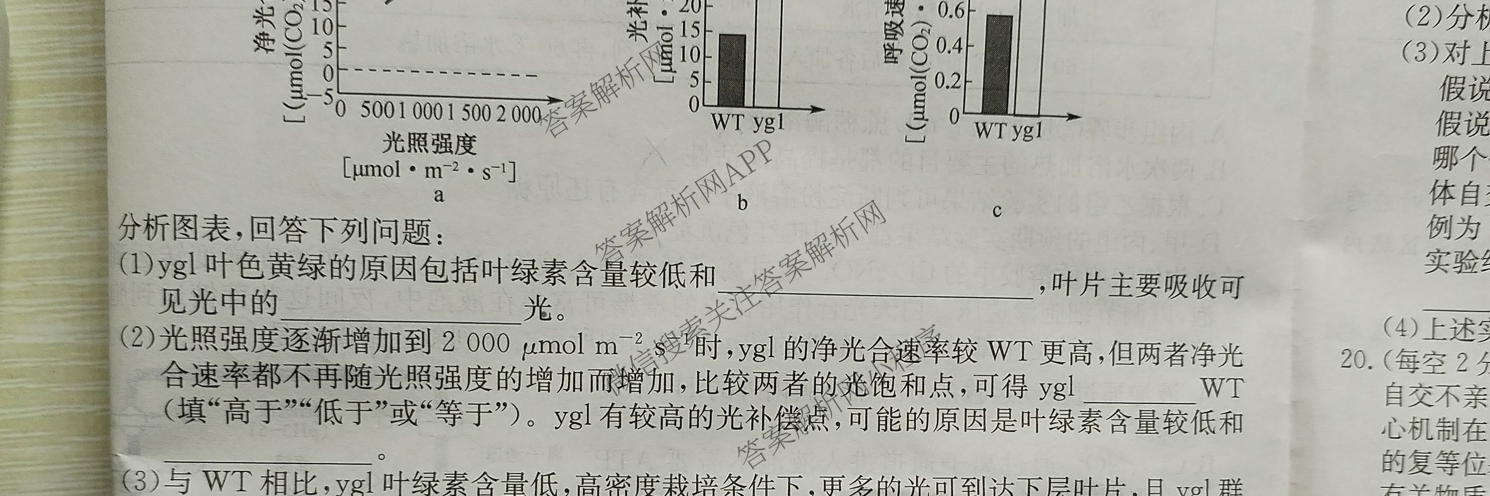 安徽省2025~2026学年度高三年级十月份月考(应历届)26-X-190C各科答案及试卷（含历史、地理、语文等）化学试题
