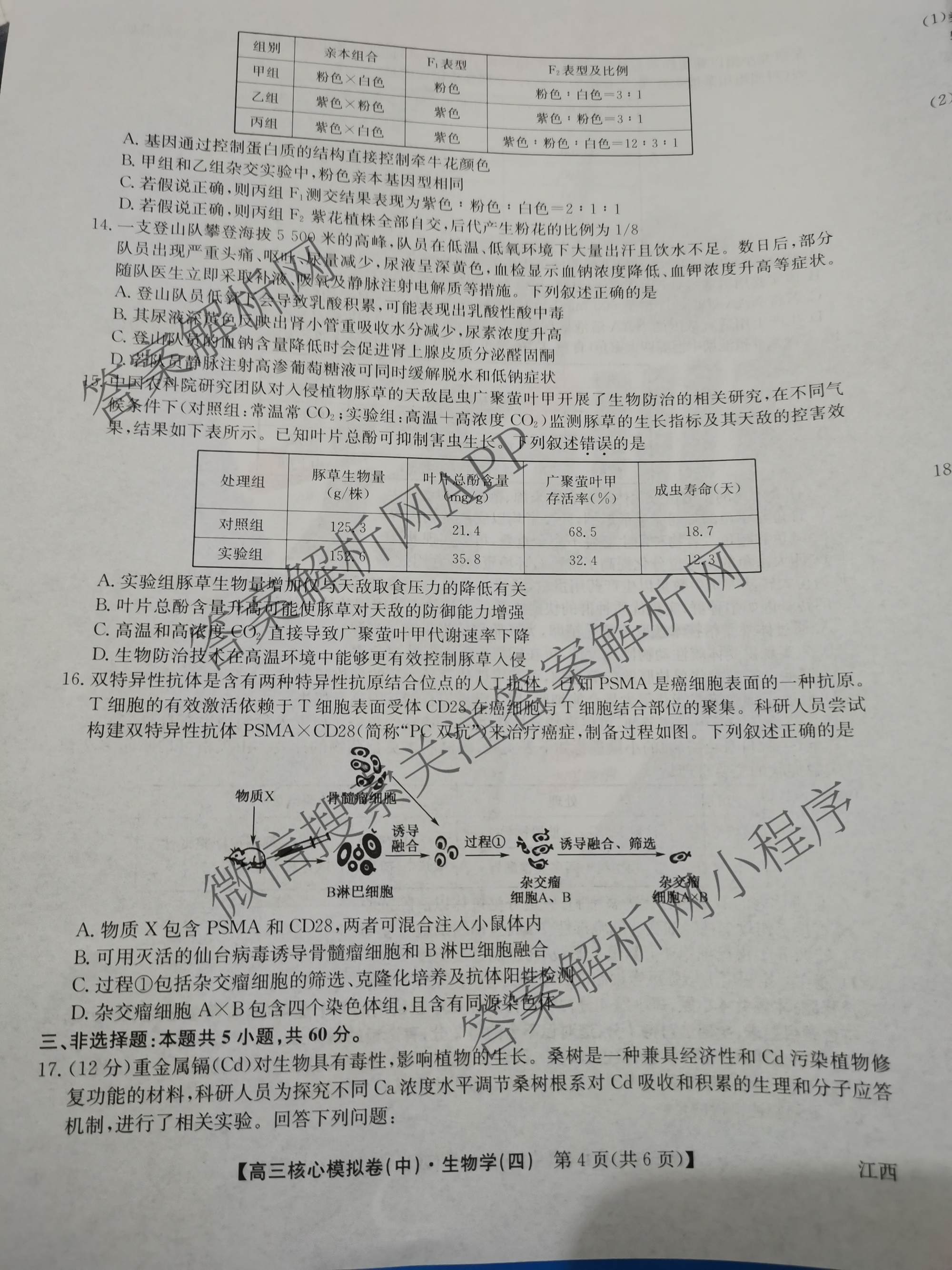 九师联盟2025~2026学年高三核心模拟卷(中)(四)试卷及答案汇总（含物理(A)、物理(HF)、生物(D1)等36份）生物试题