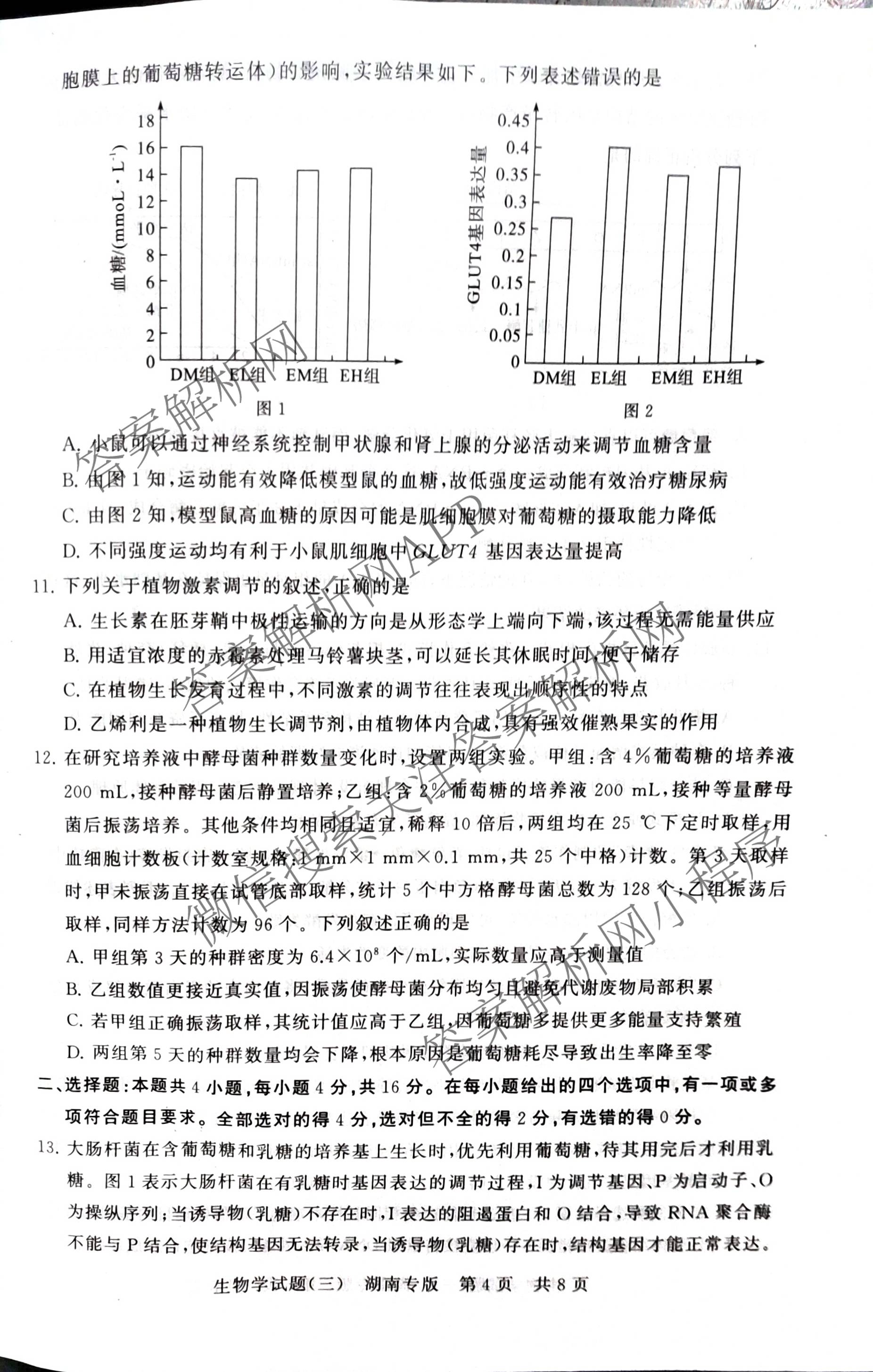冲刺新高考2026届高考仿真模拟卷(T8)(三)3试卷及答案汇总: 含历史(HBZB) 物理(HBZB) 化学(湖南专版)试卷解析生物试题