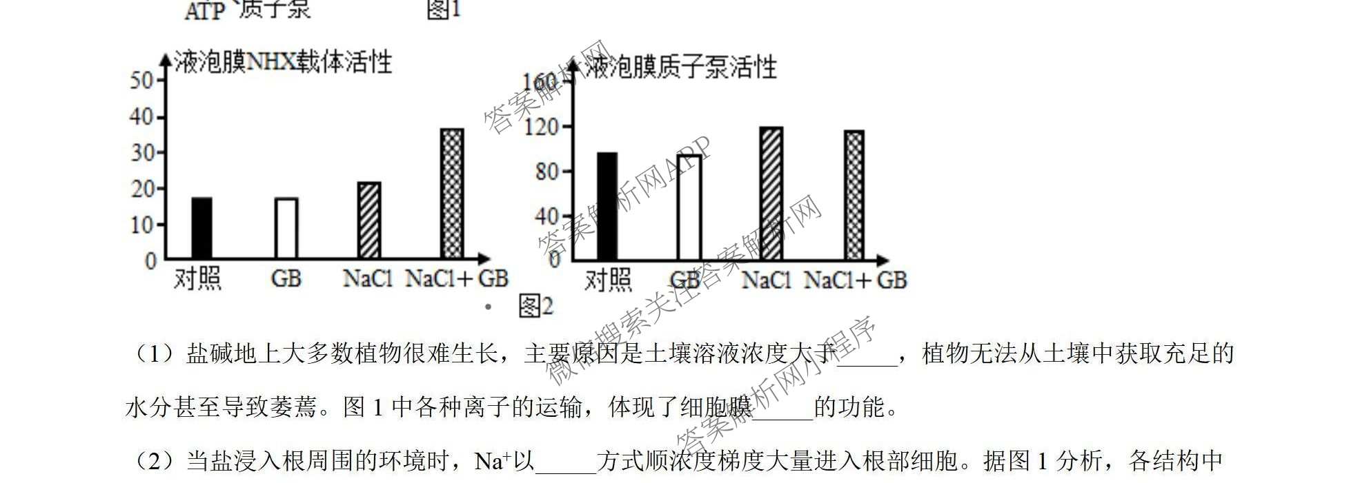 陕西省榆林市榆阳区高三第一次模拟考试(2026.9)（含地理、物理、生物等9份）生物试题