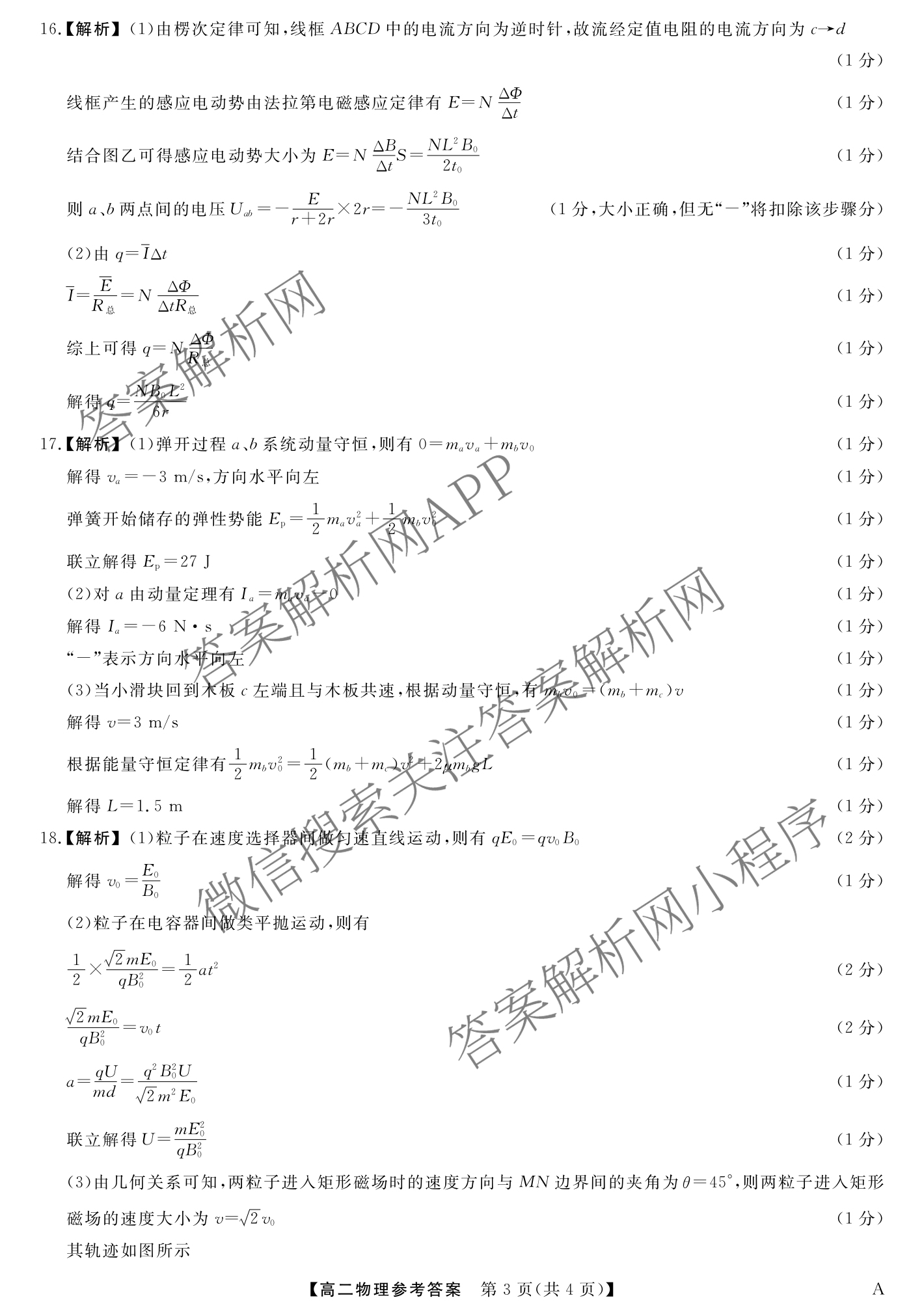 2024-2025学年福建百校高二期末考试(7月)（含化学(A) 政治(A) 英语(A)等）物理答案